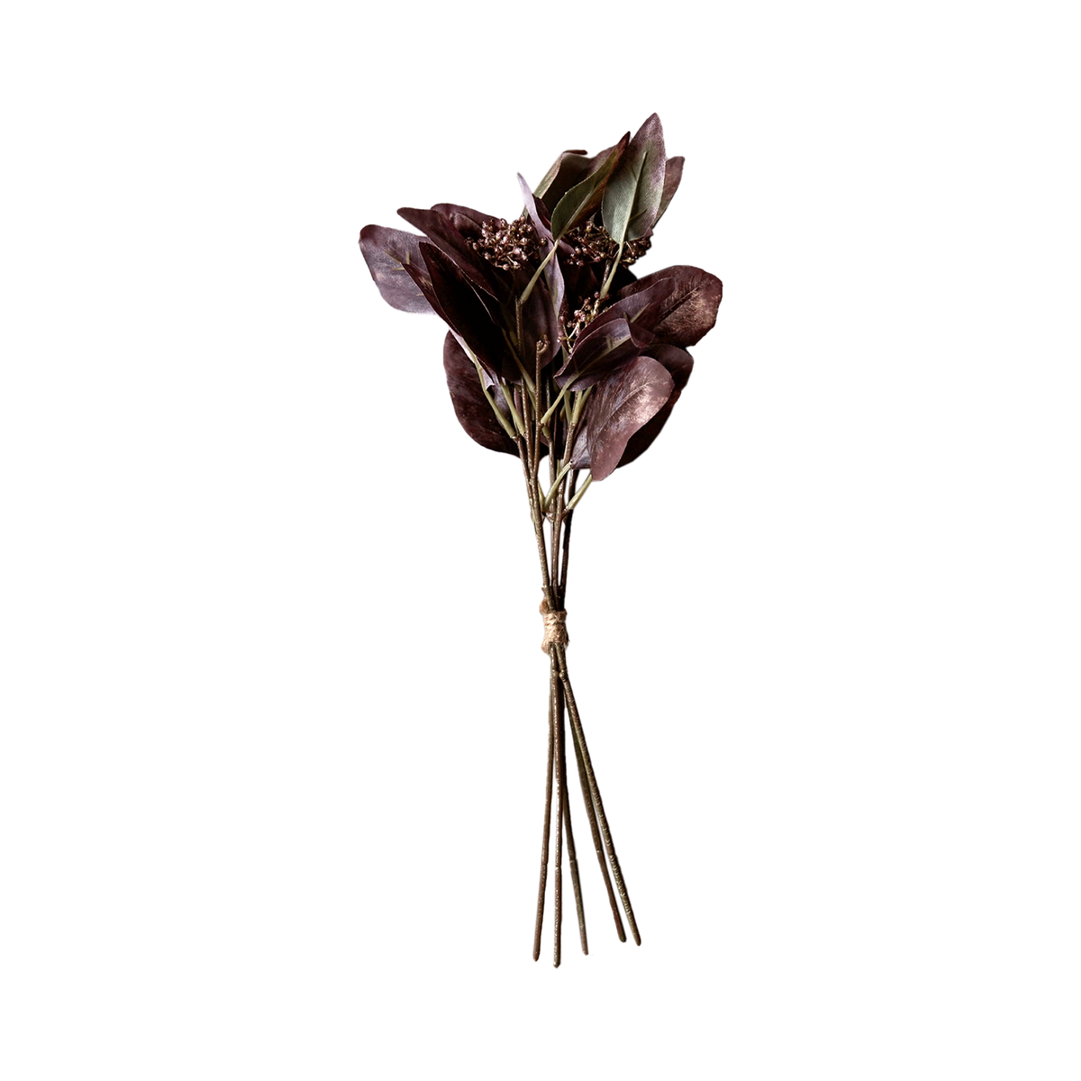Eucalyptus Ruby Flower Stem - Source by Studio Skara