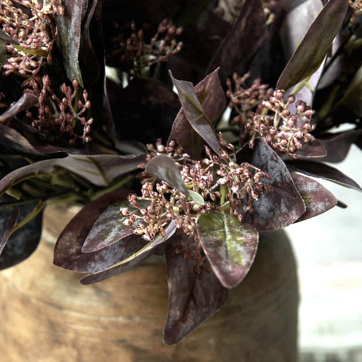 Eucalyptus Ruby Flower Stem - Source by Studio Skara, view 2