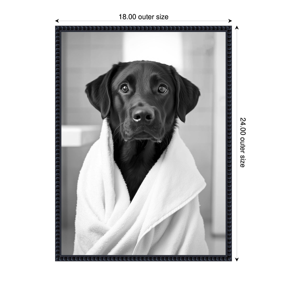 Sylvie Black Lab Bathroom Art Towel Robe Black and White Framed Canvas by The Creative Bunch Studio
