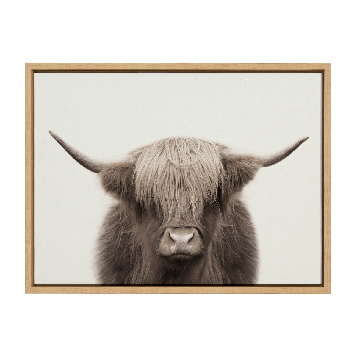 Sylvie Hey Dude Highland Cow Color Framed Canvas by The Creative Bunch Studio