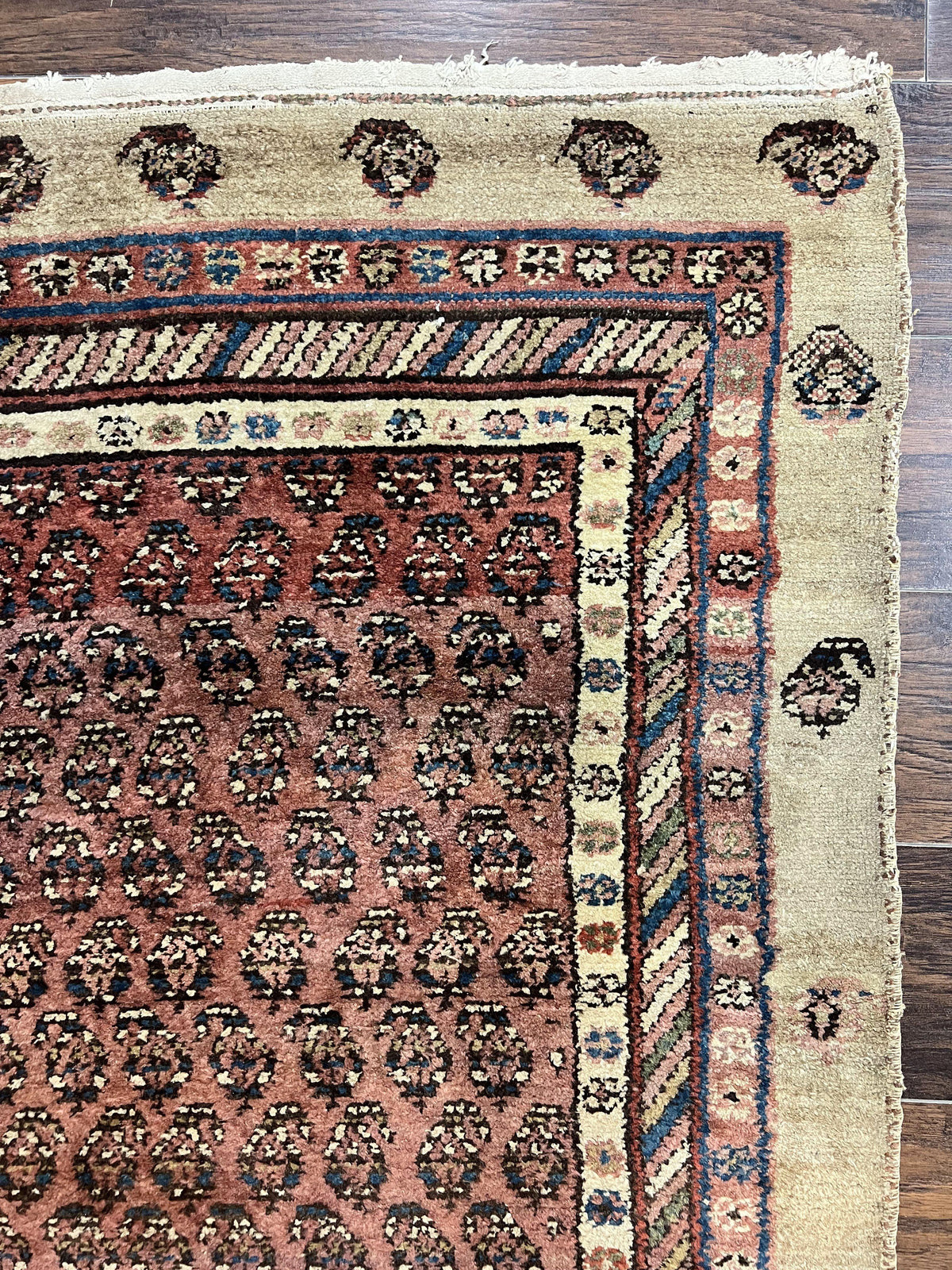 Antique Persian Sarab Runner Rug 3x11, Wool Camel Hair, Tribal Carpet for Hallway 3 x 11, Antique 1920s Rug, Handmade - Jewel Rugs, view 6