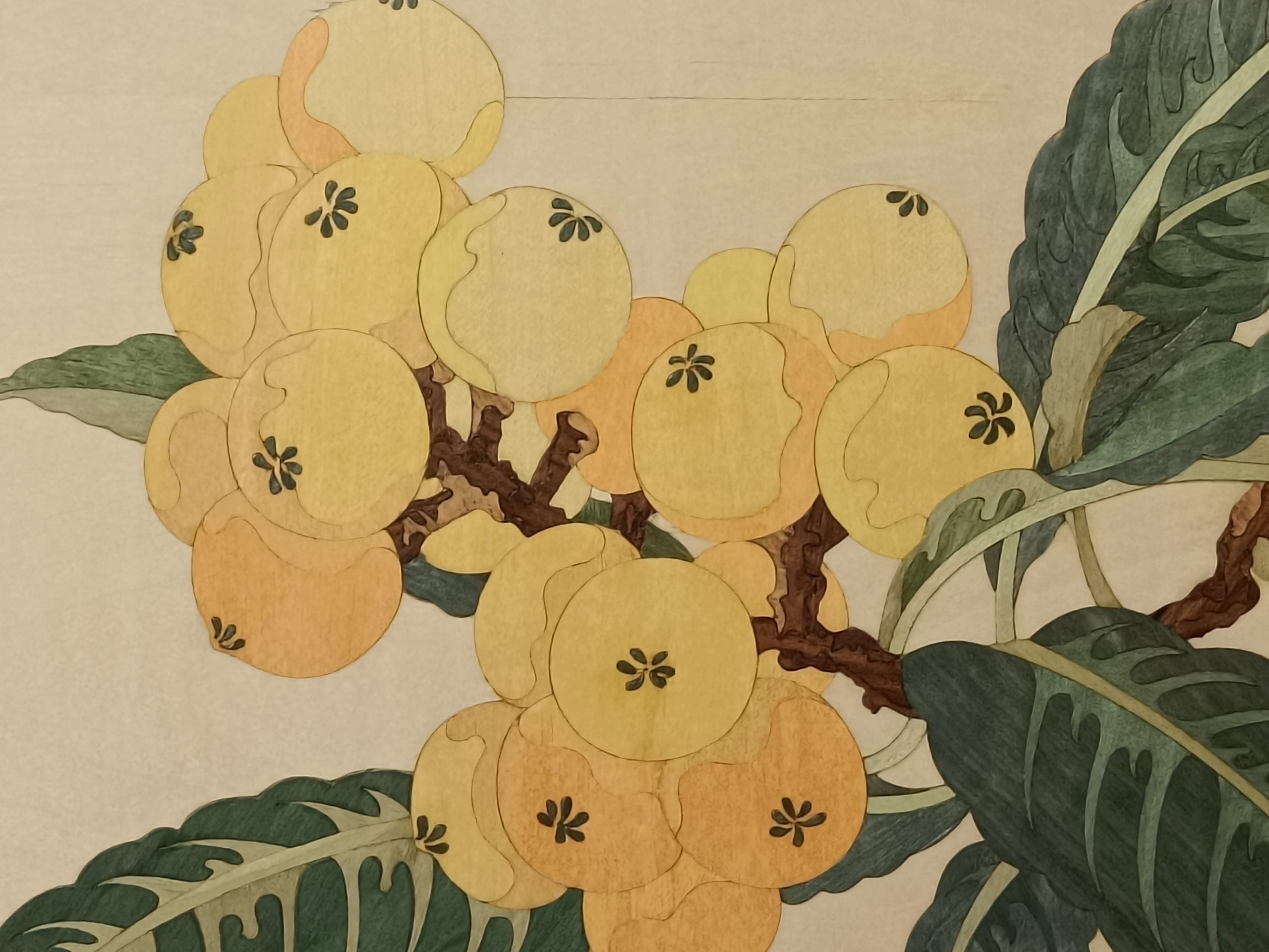 Loquat image 2