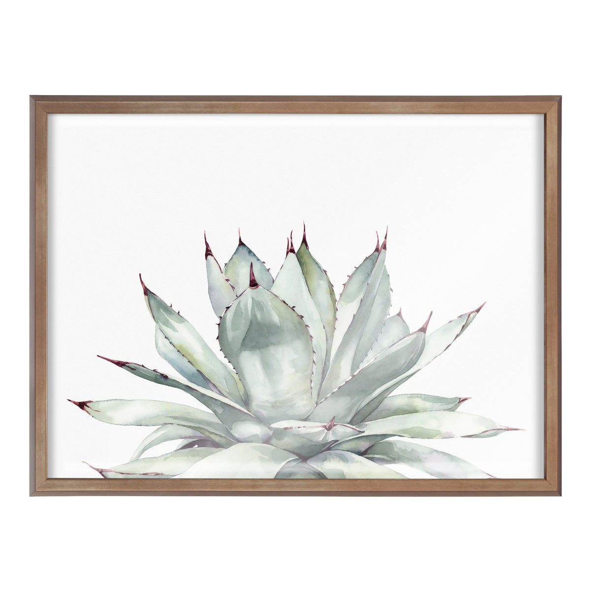 Blake Parrys Agave Framed Printed Glass by Emily Marie Watercolors