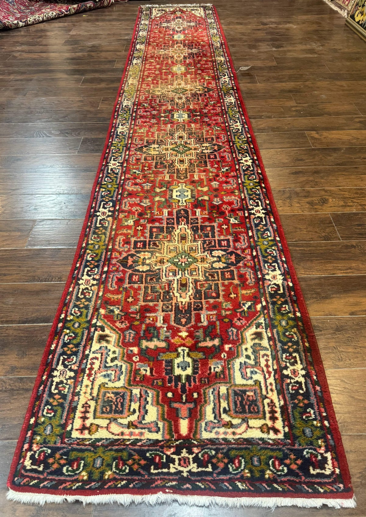 Indo Persian Heriz Runner Rug 3 x 17, Geometric Long Runner Carpet for Hallway, Medallions, Wool Runner Rug 3x17 - Jewel Rugs