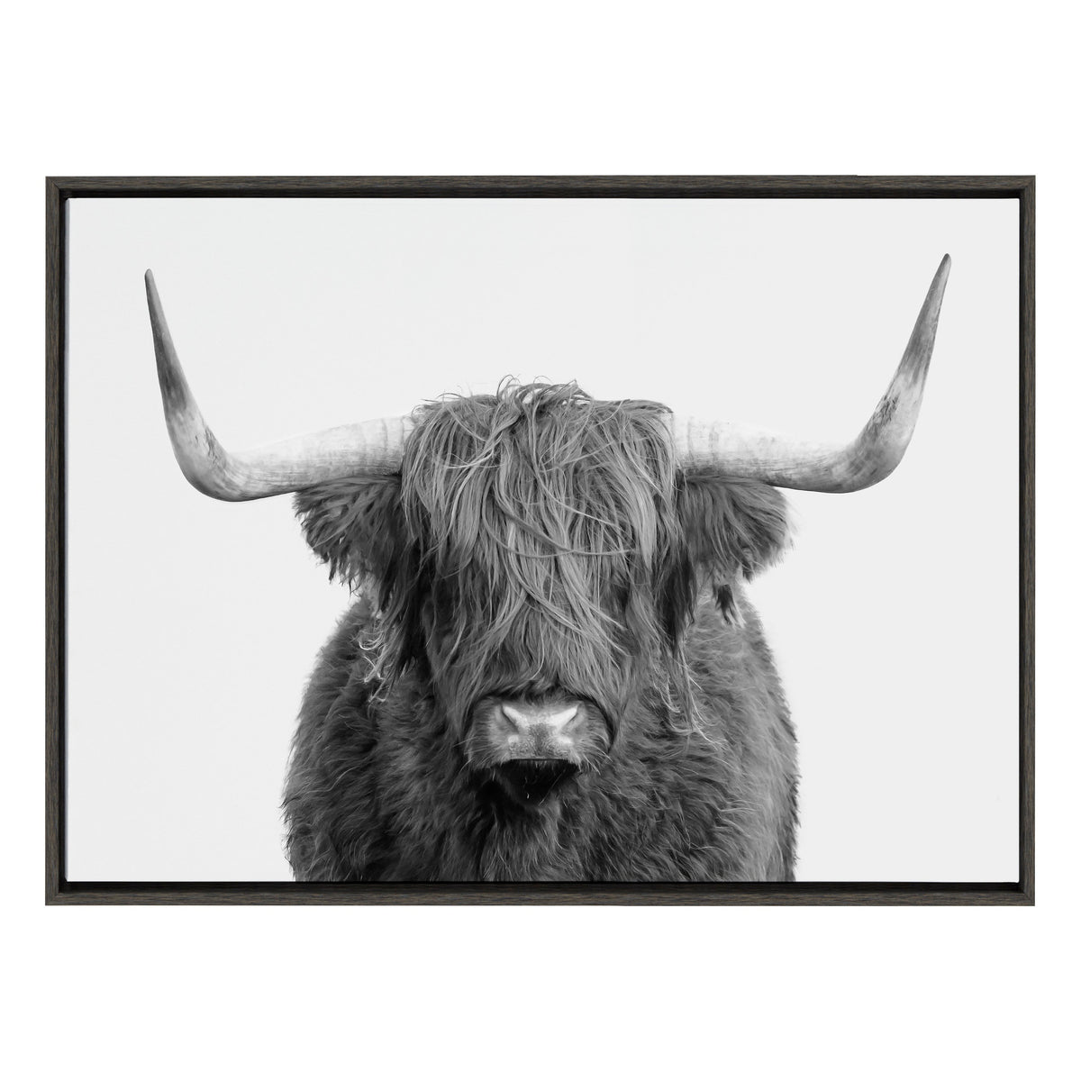 Sylvie Highland Cow Portrait Framed Canvas by Amy Peterson Art Studio