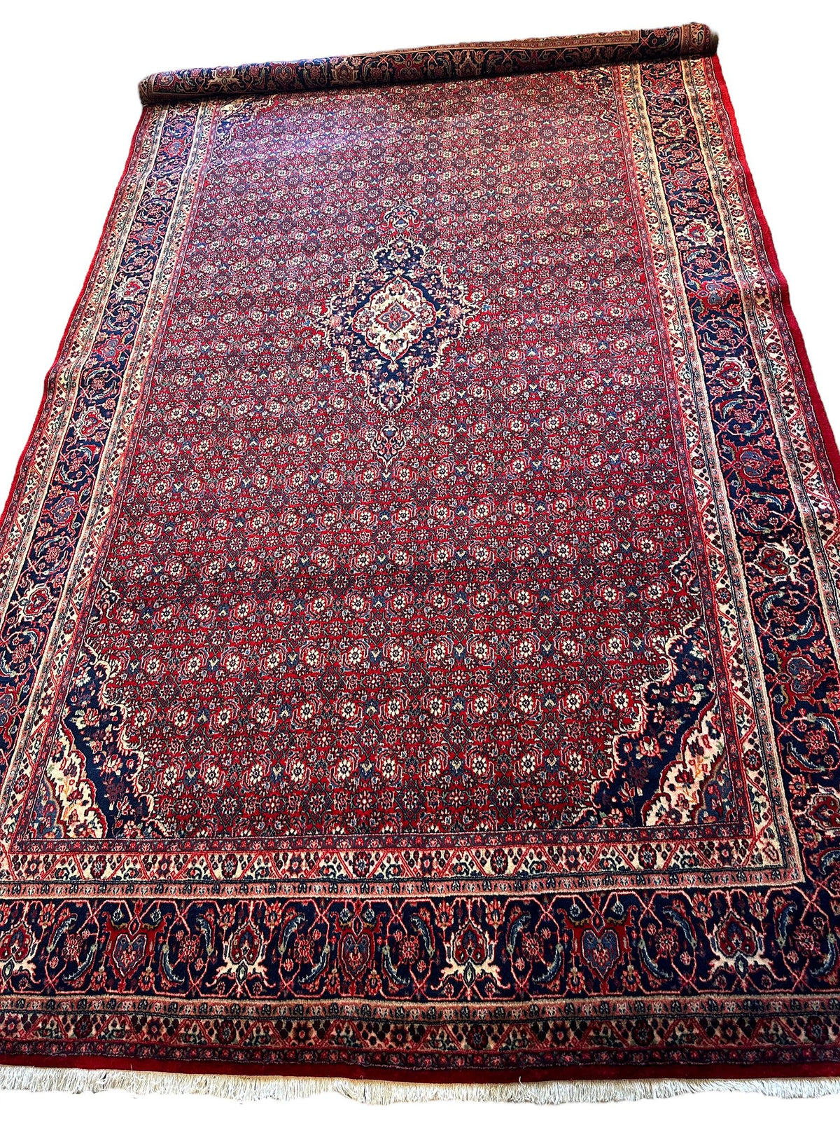 Vintage Persian Moud Rug 9x14 | Red, Navy & Ivory | Hand-Knotted Wool - Rugistan