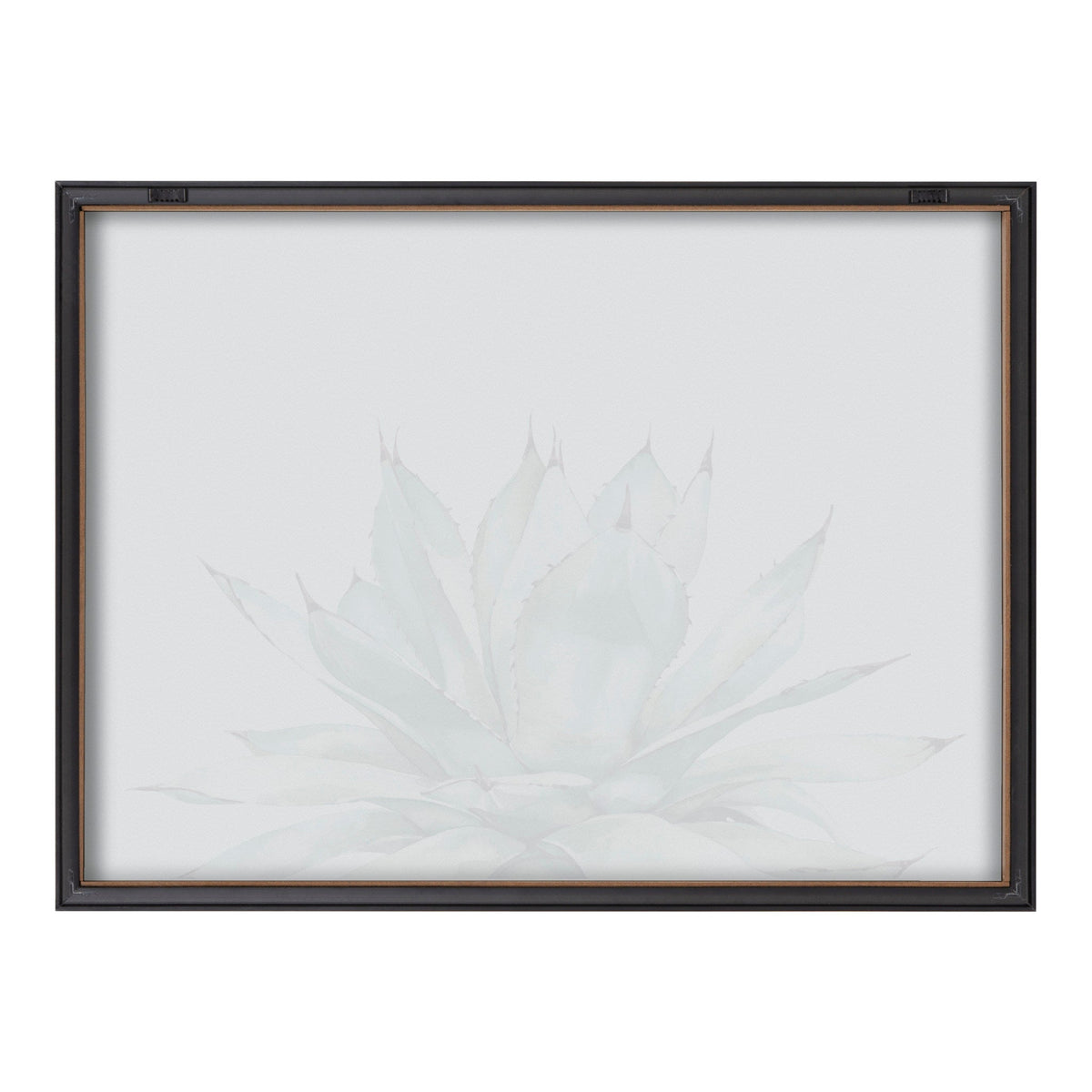 Blake Parrys Agave Framed Printed Glass by Emily Marie Watercolors
