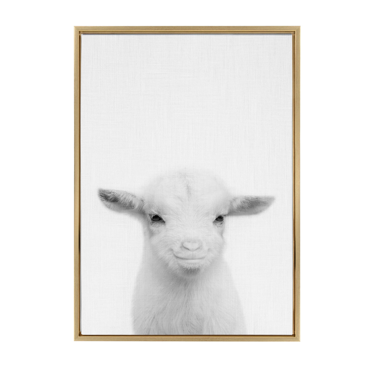 Sylvie Baby Goat Framed Canvas by Simon Te Tai