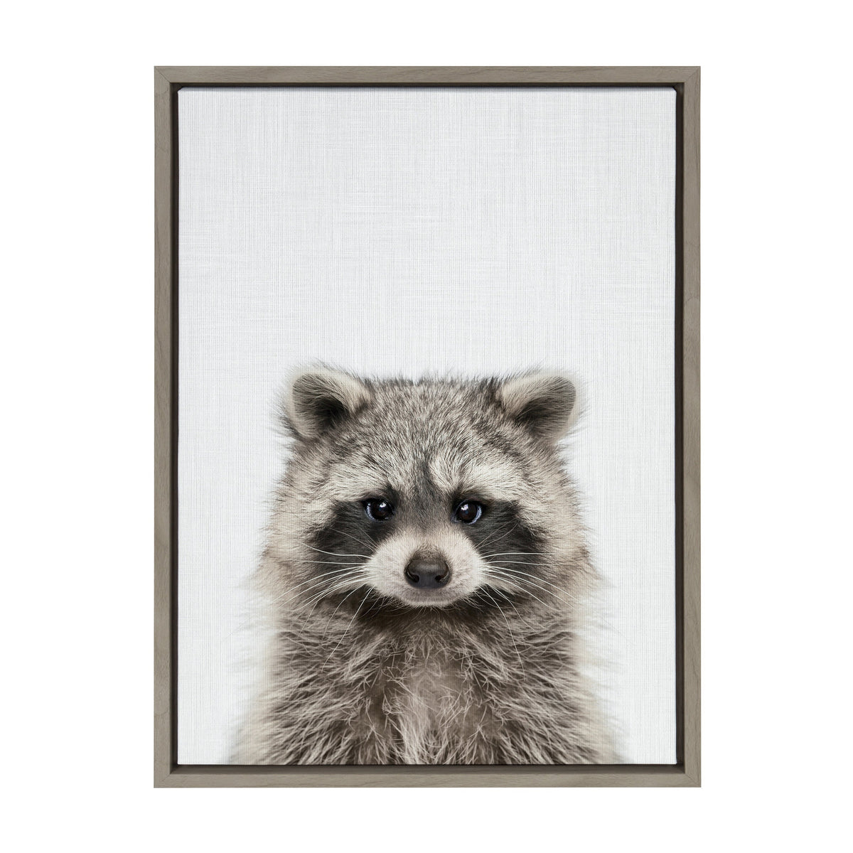 Sylvie Raccoon Color Framed Canvas by Simon Te of Tai Prints