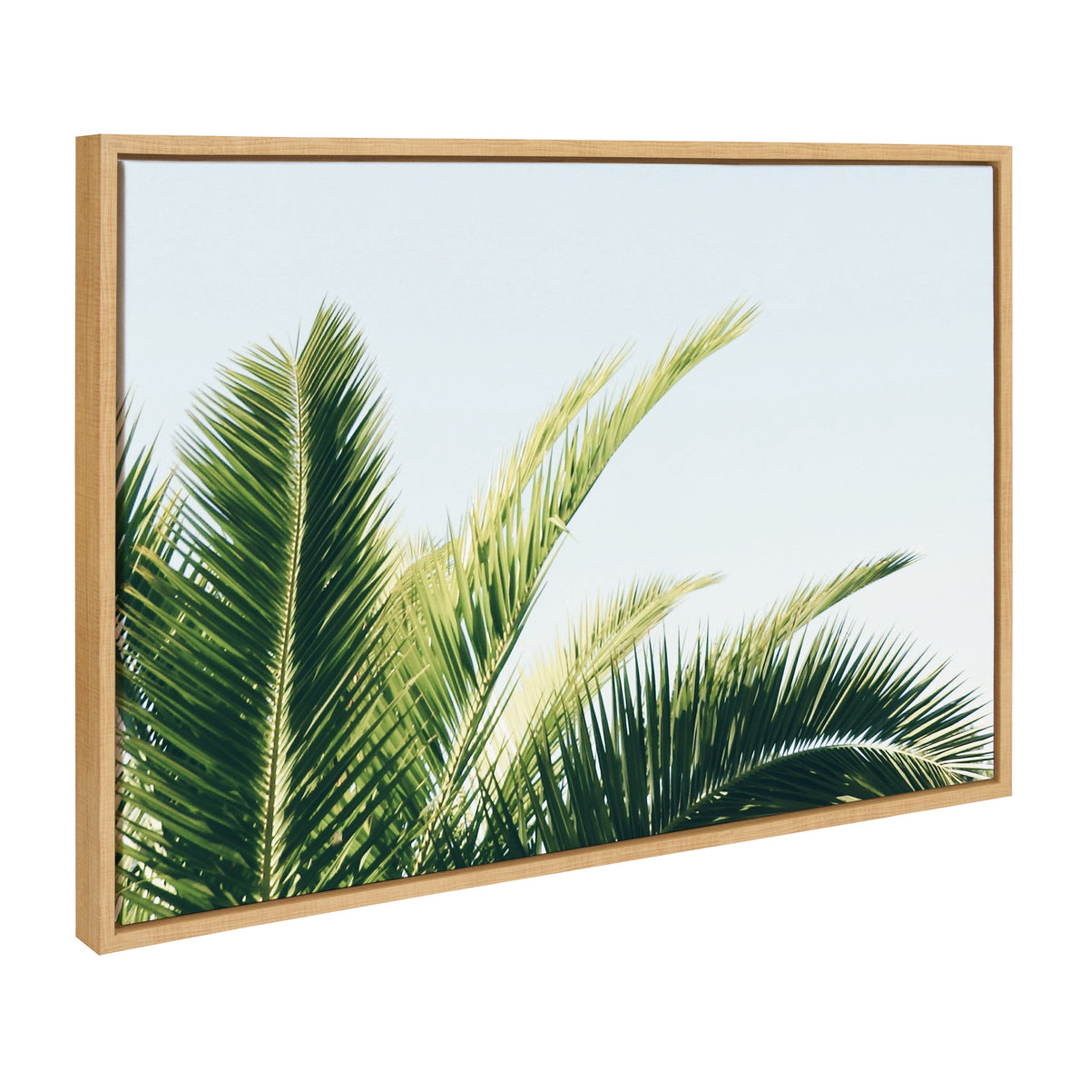 Sylvie Tropical Palm Under Blue Sky Framed Canvas by Amy Peterson Art Studio