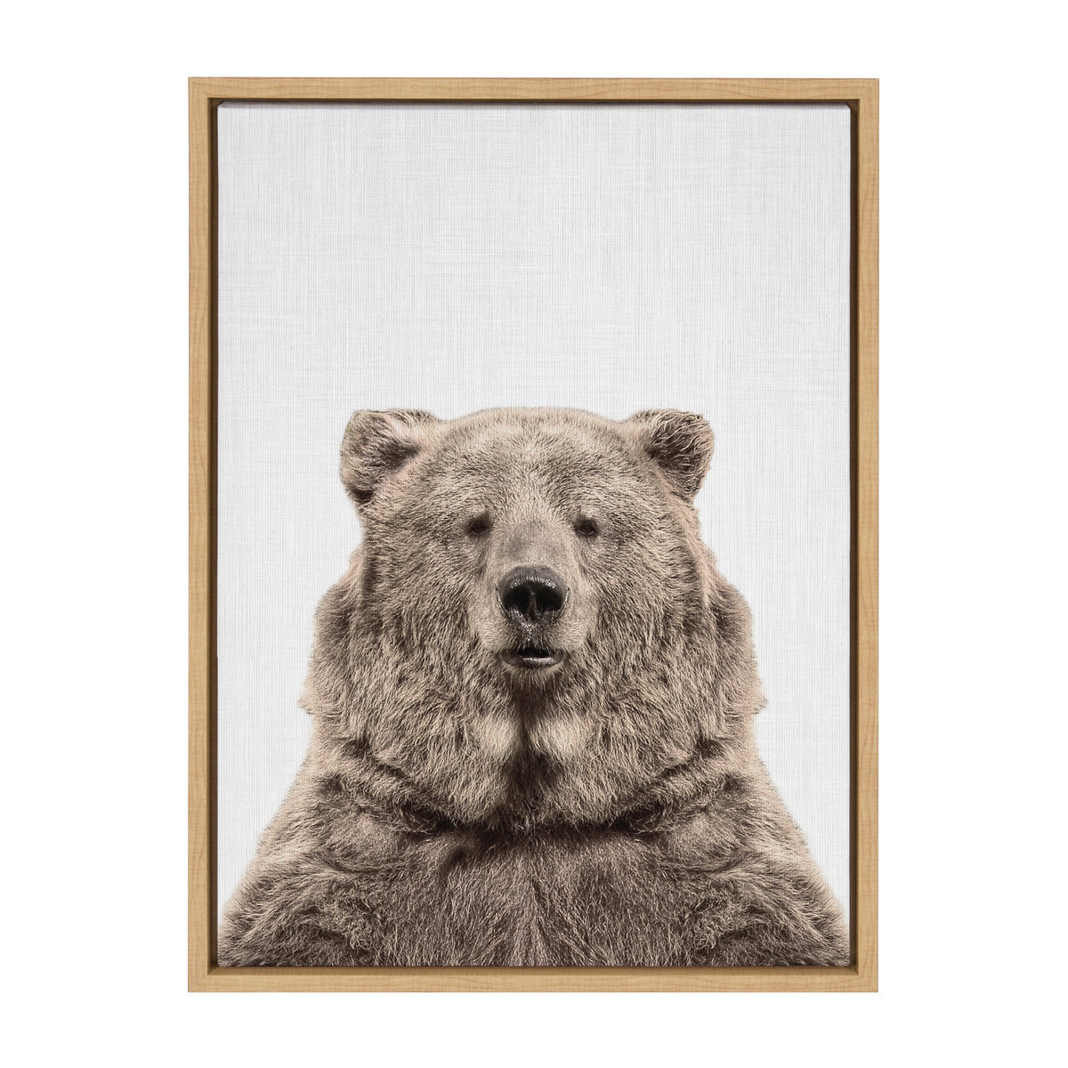 Sylvie Bear European Color Framed Canvas by Simon Te of Tai Prints