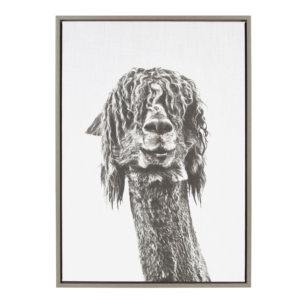 Sylvie Curly Hair Alpaca Framed Canvas by Simon Te Tai