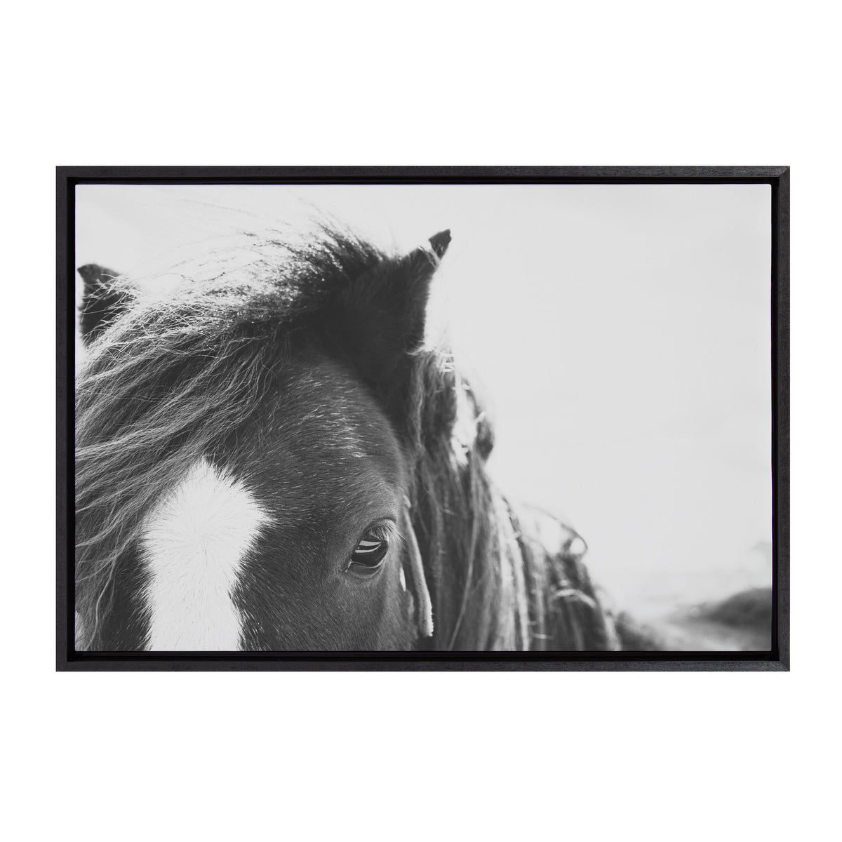 Sylvie Noble BW Framed Canvas by Alicia Abla