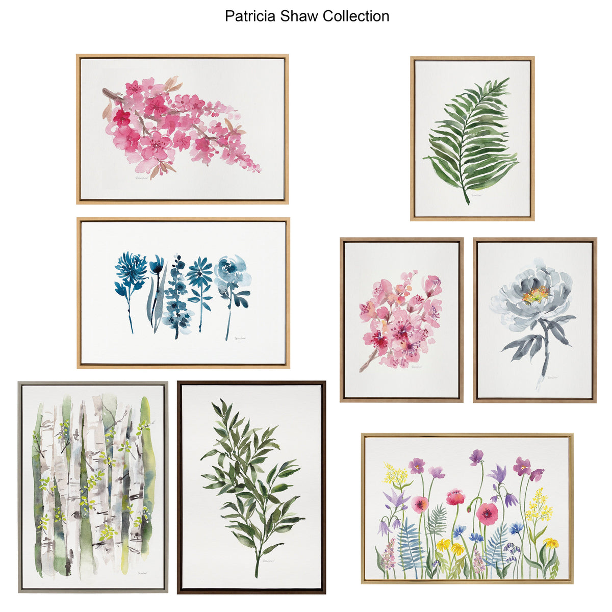 Sylvie Ruscus Framed Canvas by Patricia Shaw