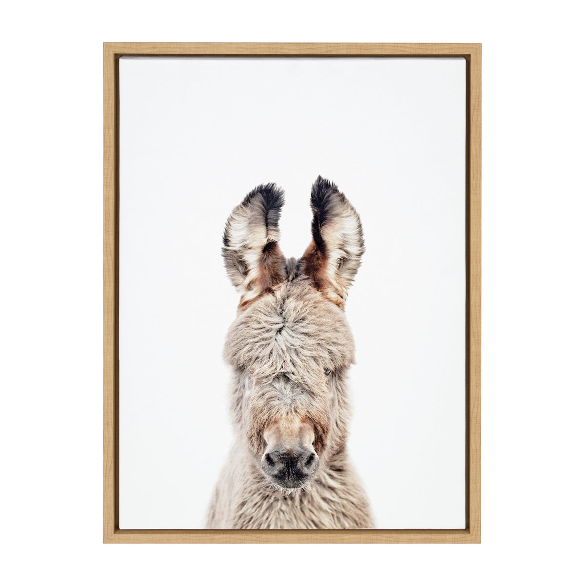 Sylvie Animal Studio Burro Portrait Framed Canvas by Amy Peterson Art Studio