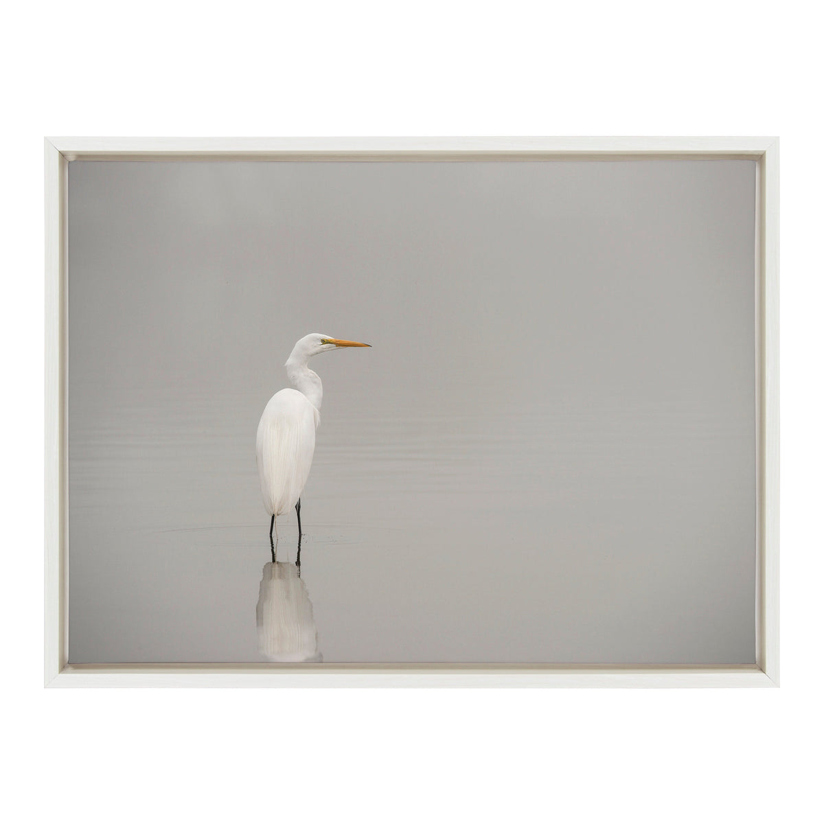 Sylvie Great White Egret Framed Canvas by Crystal Lynn Collins