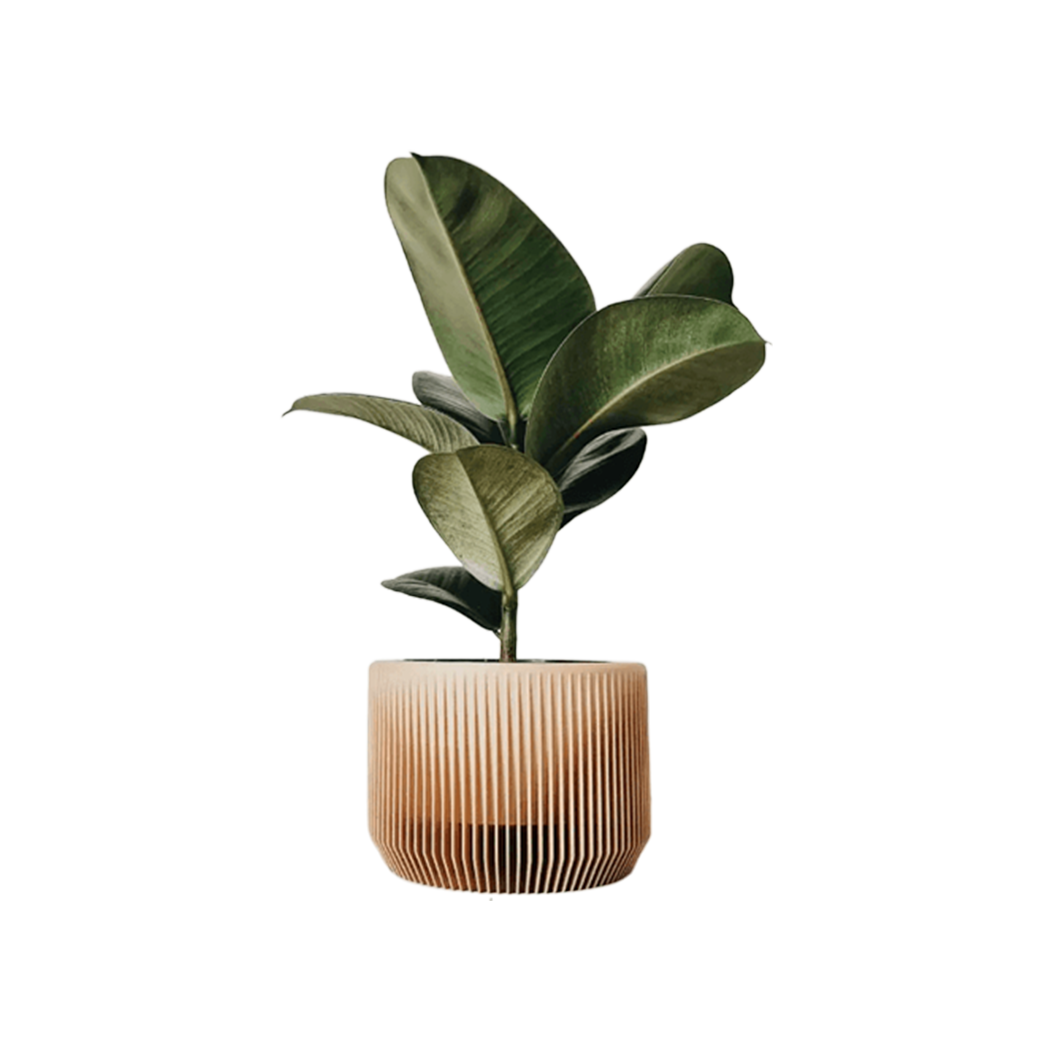 Kyrie Planter - Source by Studio Skara, view 2