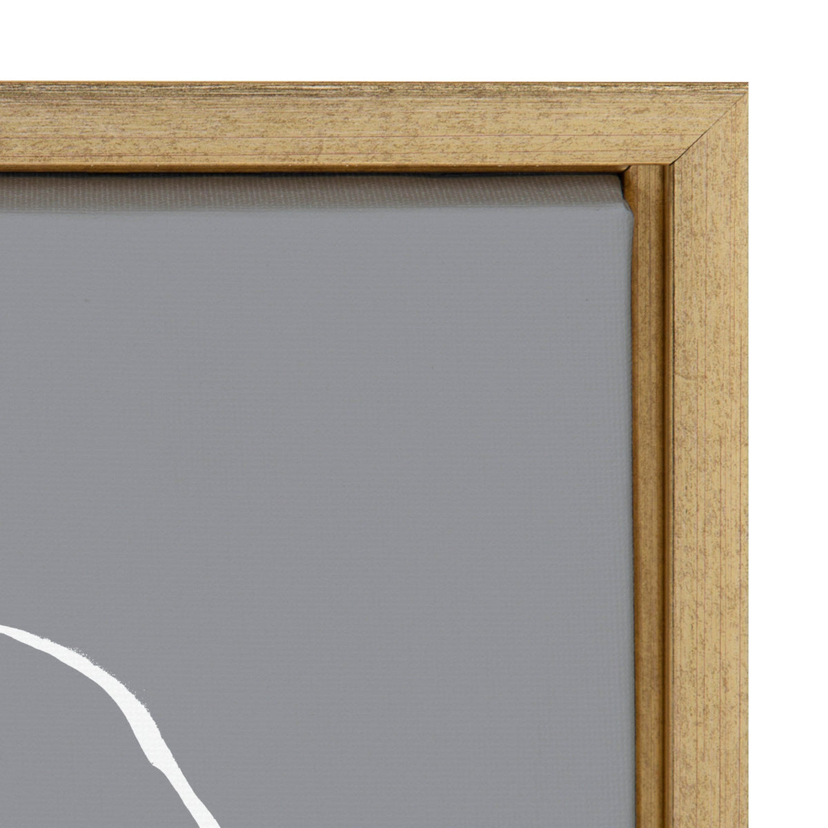 Sylvie Gray Going in Circles Framed Canvas Set by Teju Reval