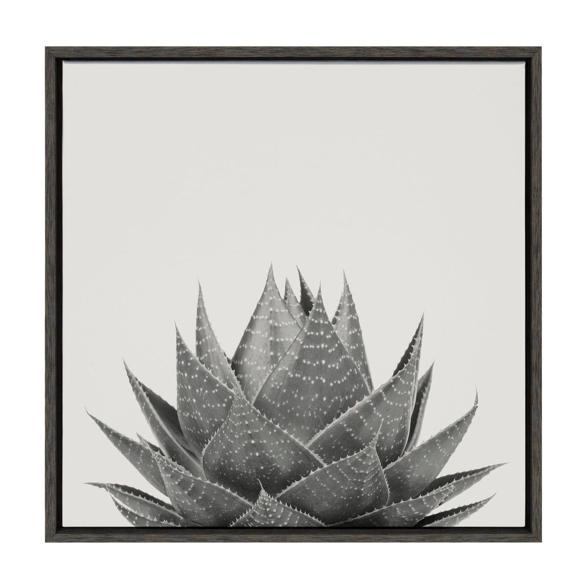Sylvie Haze Aloe Succulent Framed Canvas by The Creative Bunch Studio