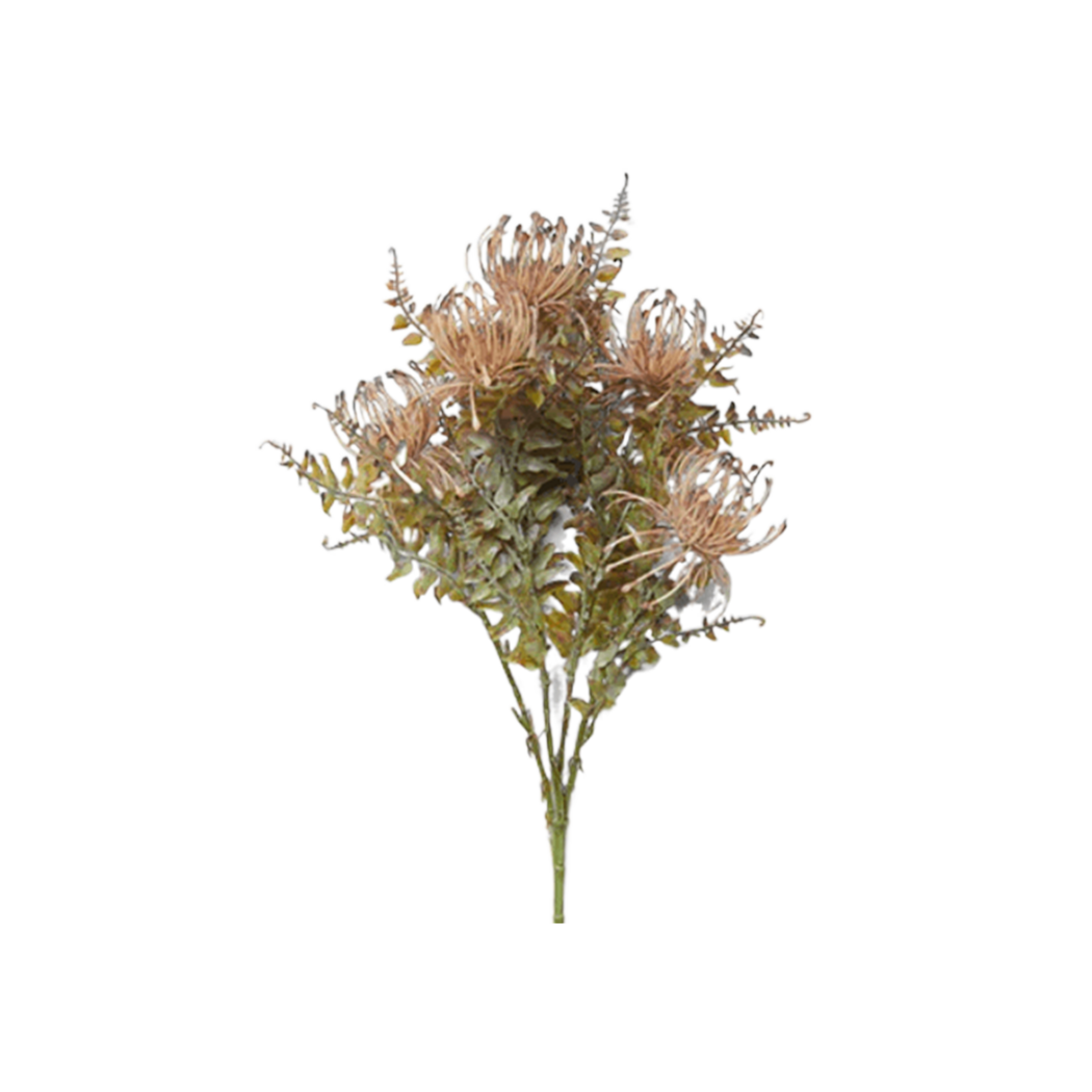 Leucospermum Bush Stem - Source by Studio Skara