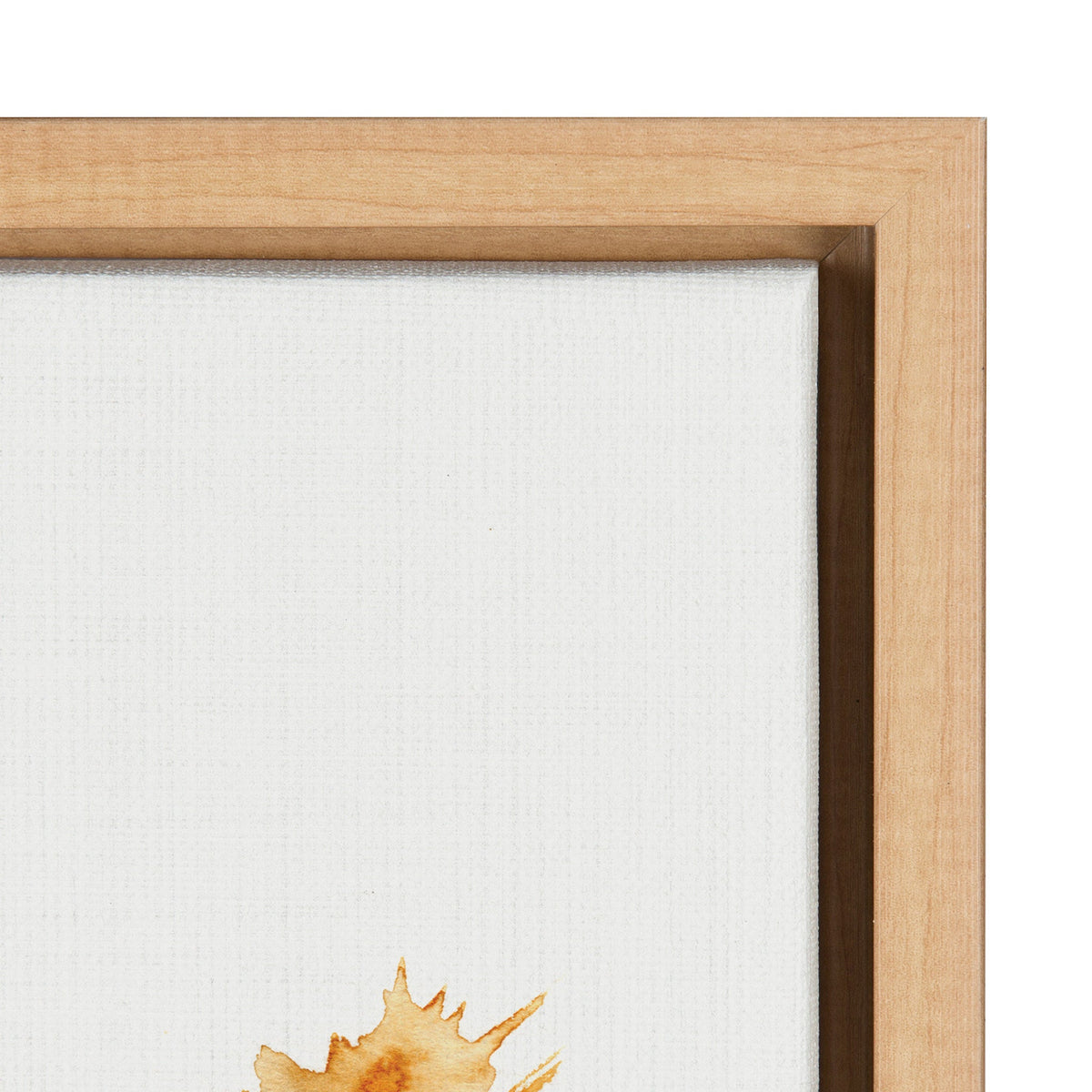 Sylvie Wild Salvia Framed Canvas by Sara Berrenson