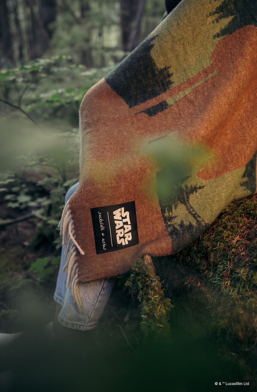 Star Wars Endor�