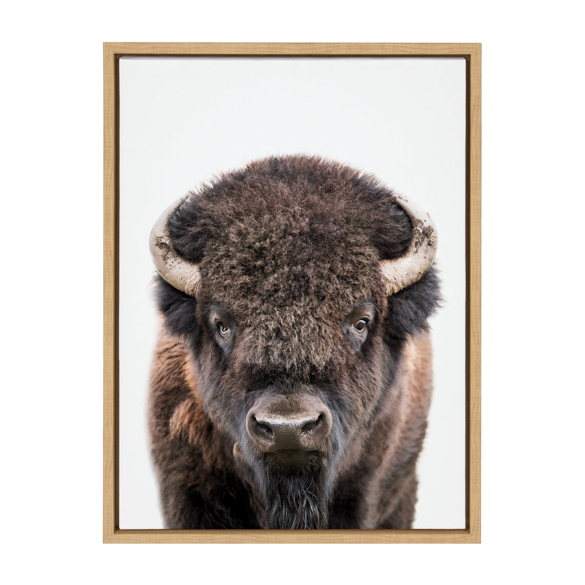 Sylvie Bison Portrait Framed Canvas by Amy Peterson Art Studio