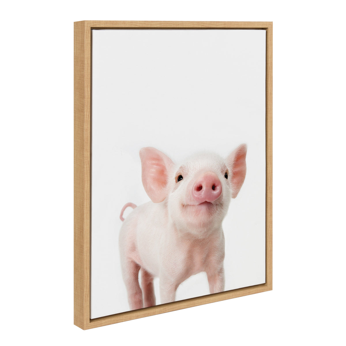 Sylvie Animal Studio Piglet Framed Canvas by Amy Peterson Art Studio