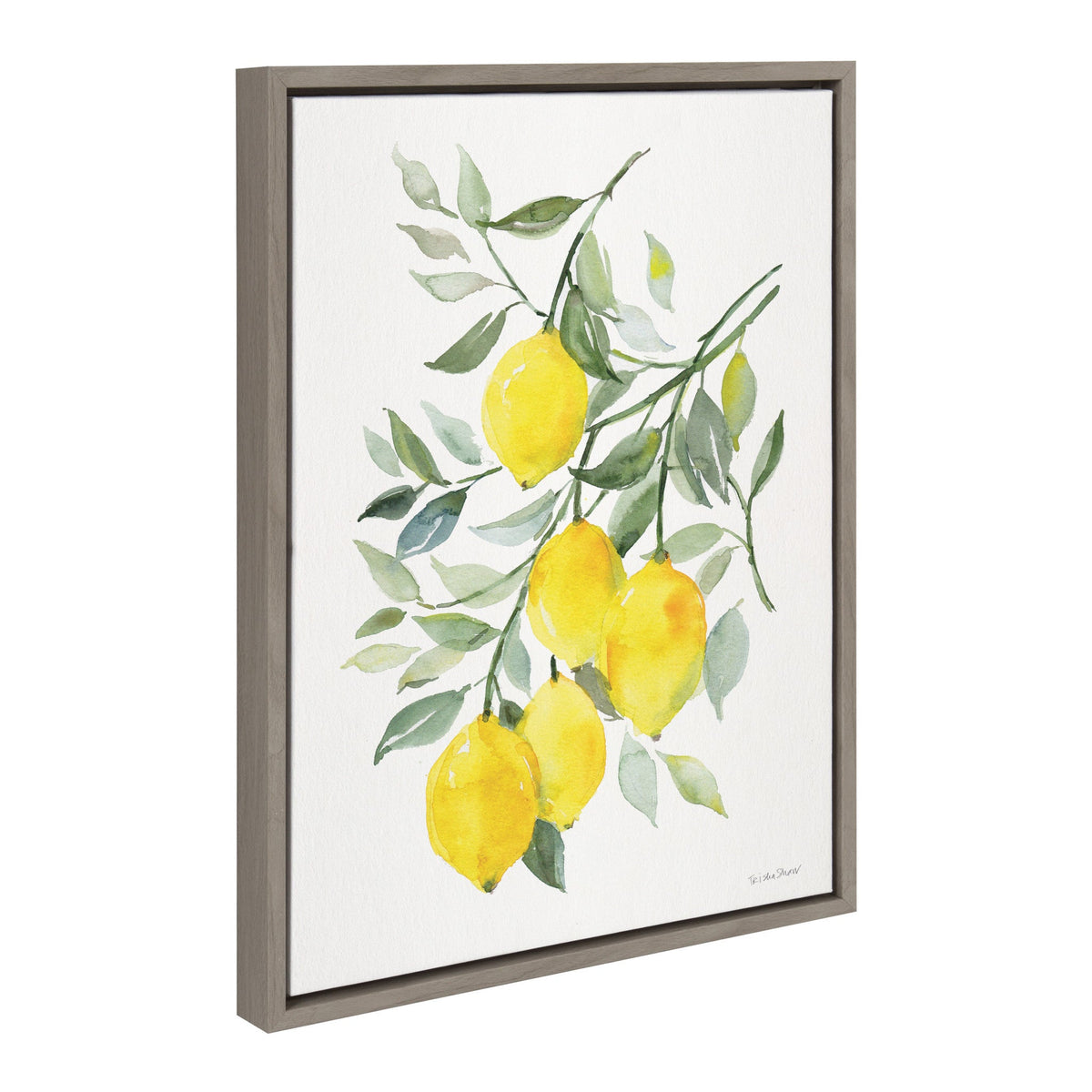 Sylvie Lemon Citrus Framed Canvas by Patricia Shaw