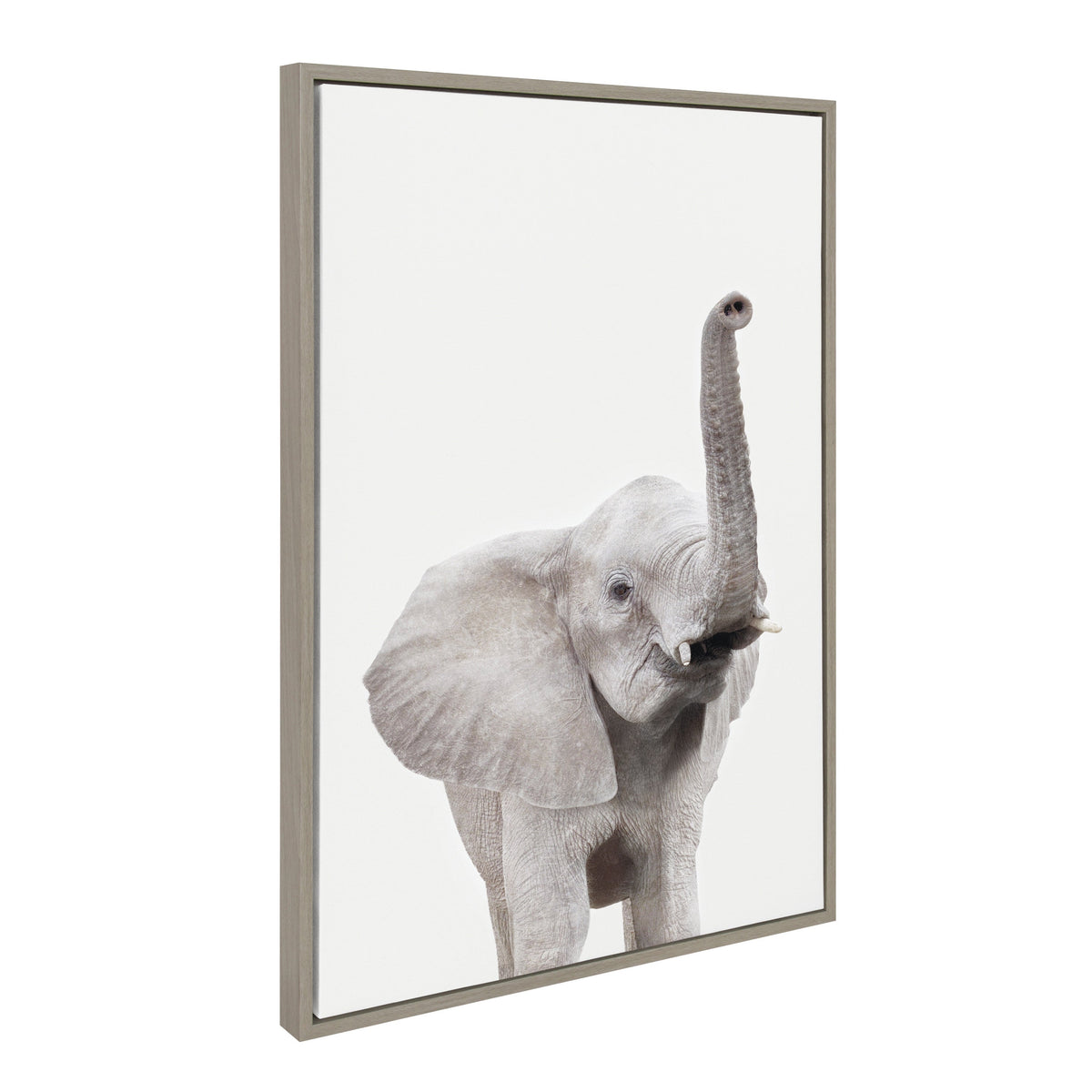 Sylvie Young Elephant Framed Canvas by Amy Peterson