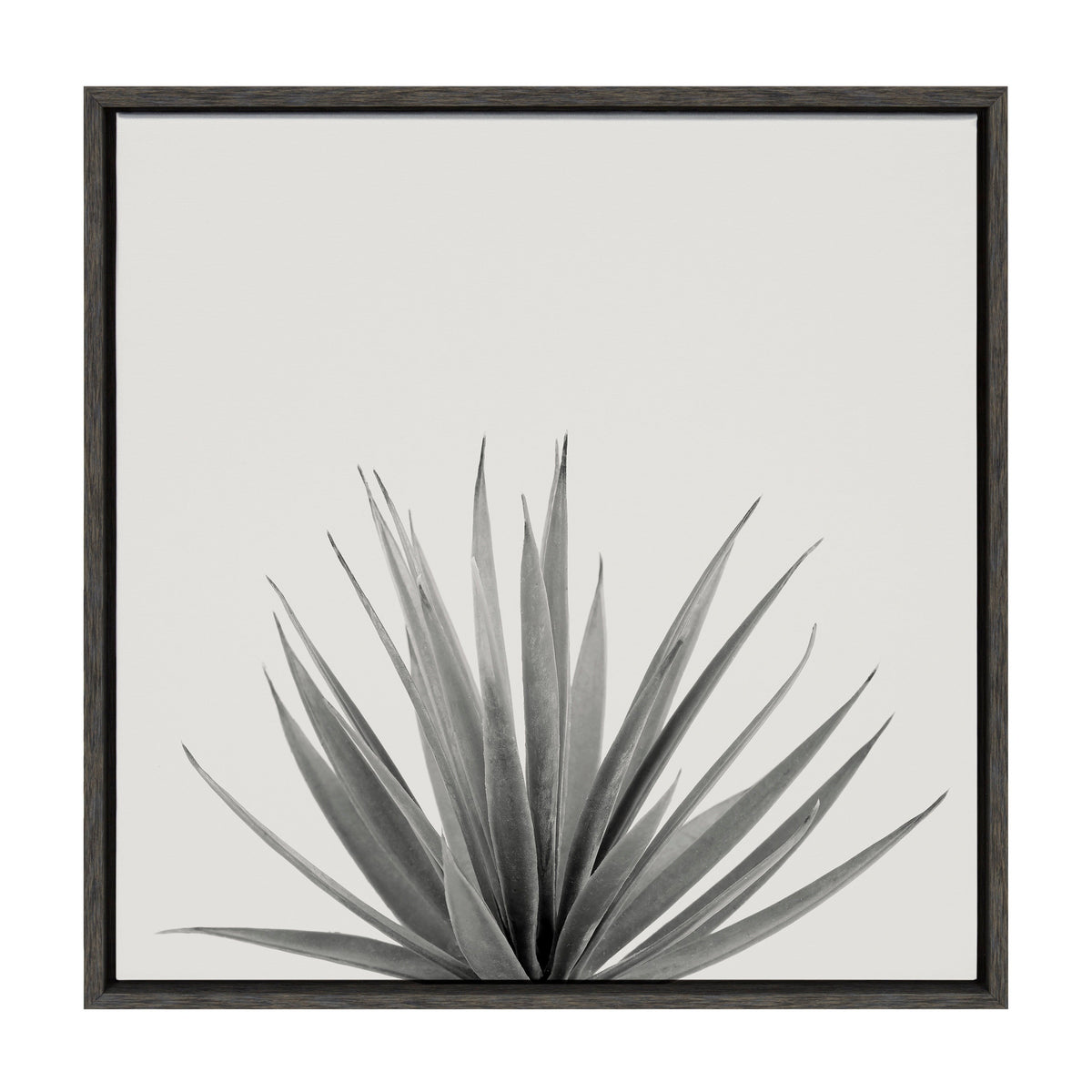 Sylvie Haze Agave Succulent Framed Canvas by The Creative Bunch Studio