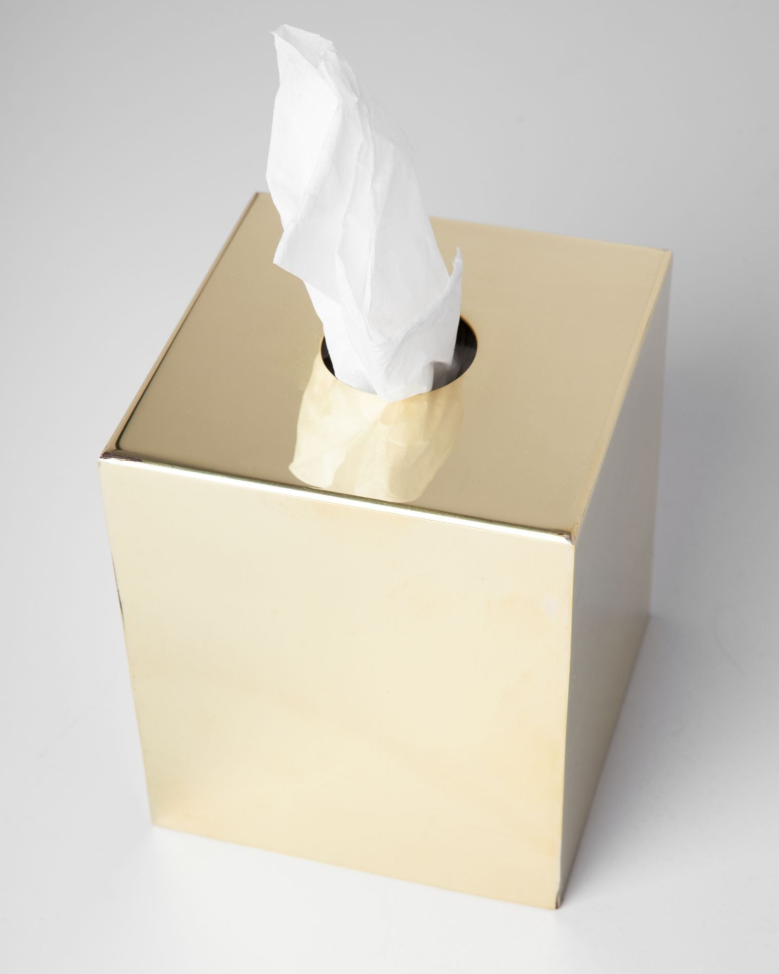 Paavo Tissue Cozy