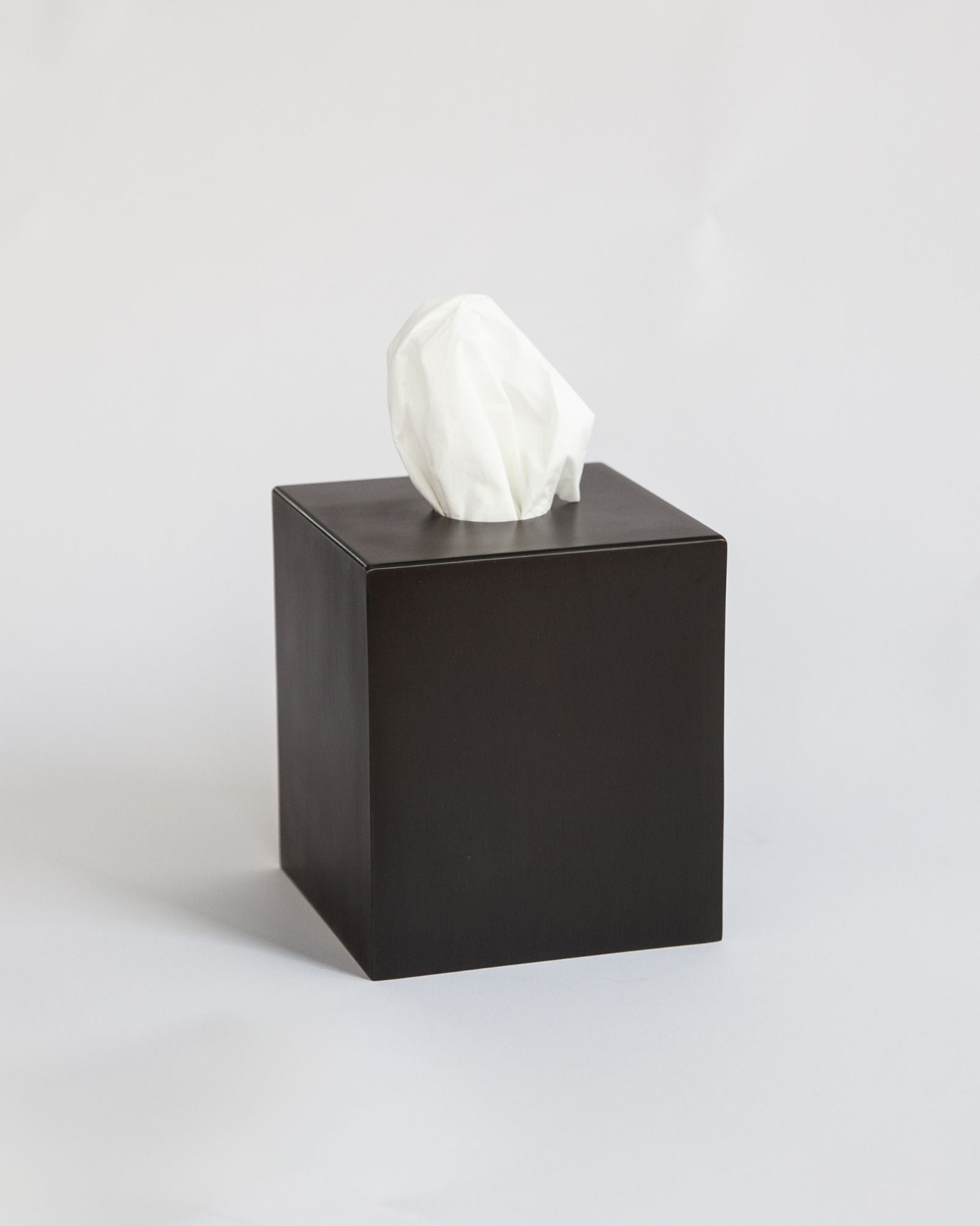 Paavo Tissue Cozy