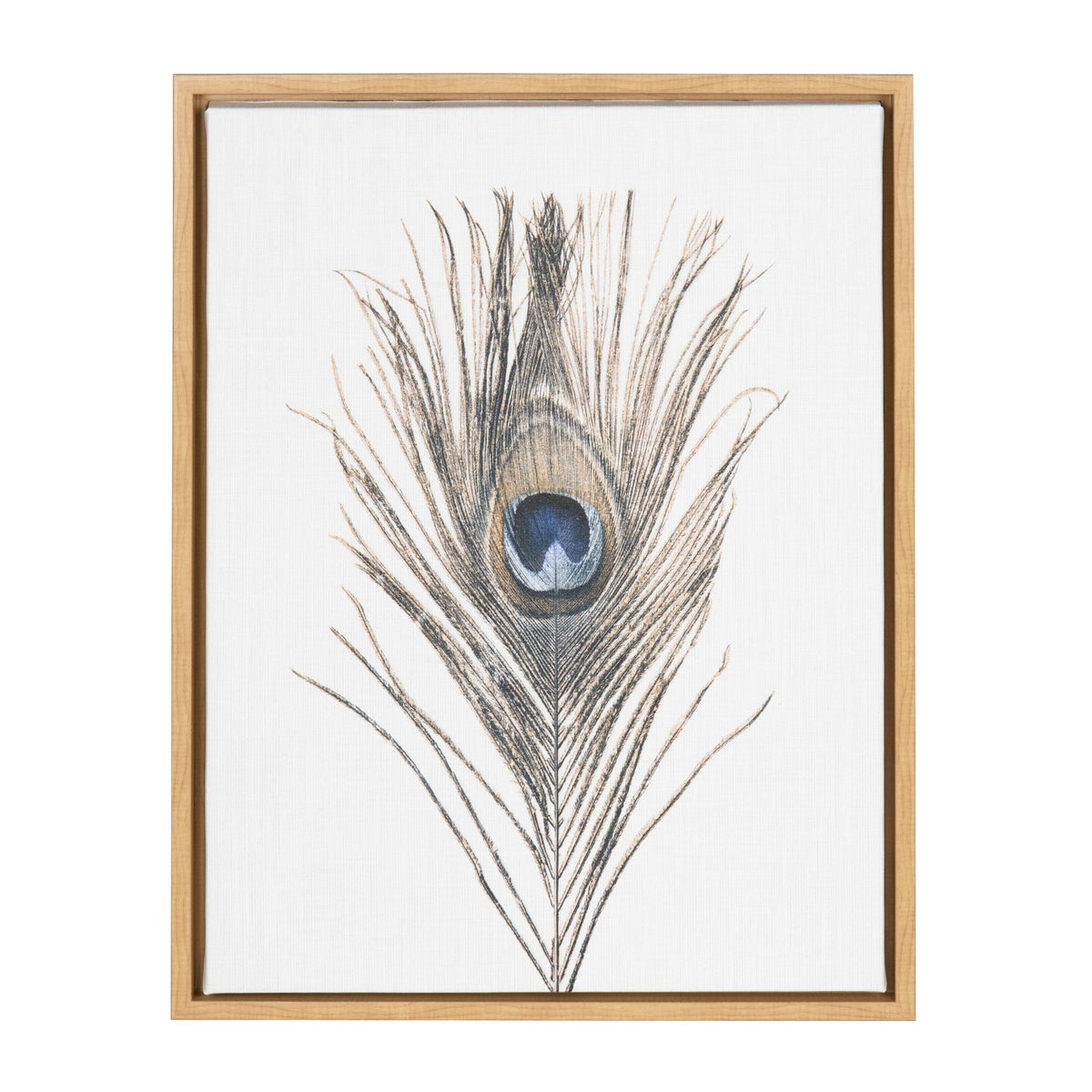 Sylvie Peacock Feather Framed Canvas by Simon Te of Tai Prints