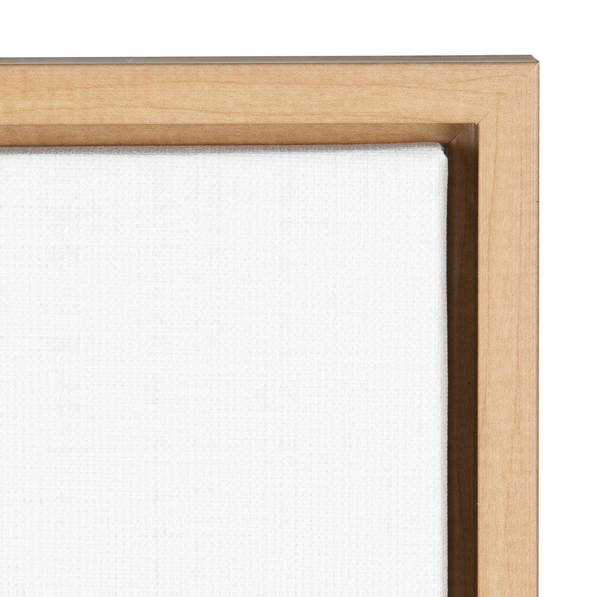 Sylvie Raccoon Framed Canvas by Simon Te Tai