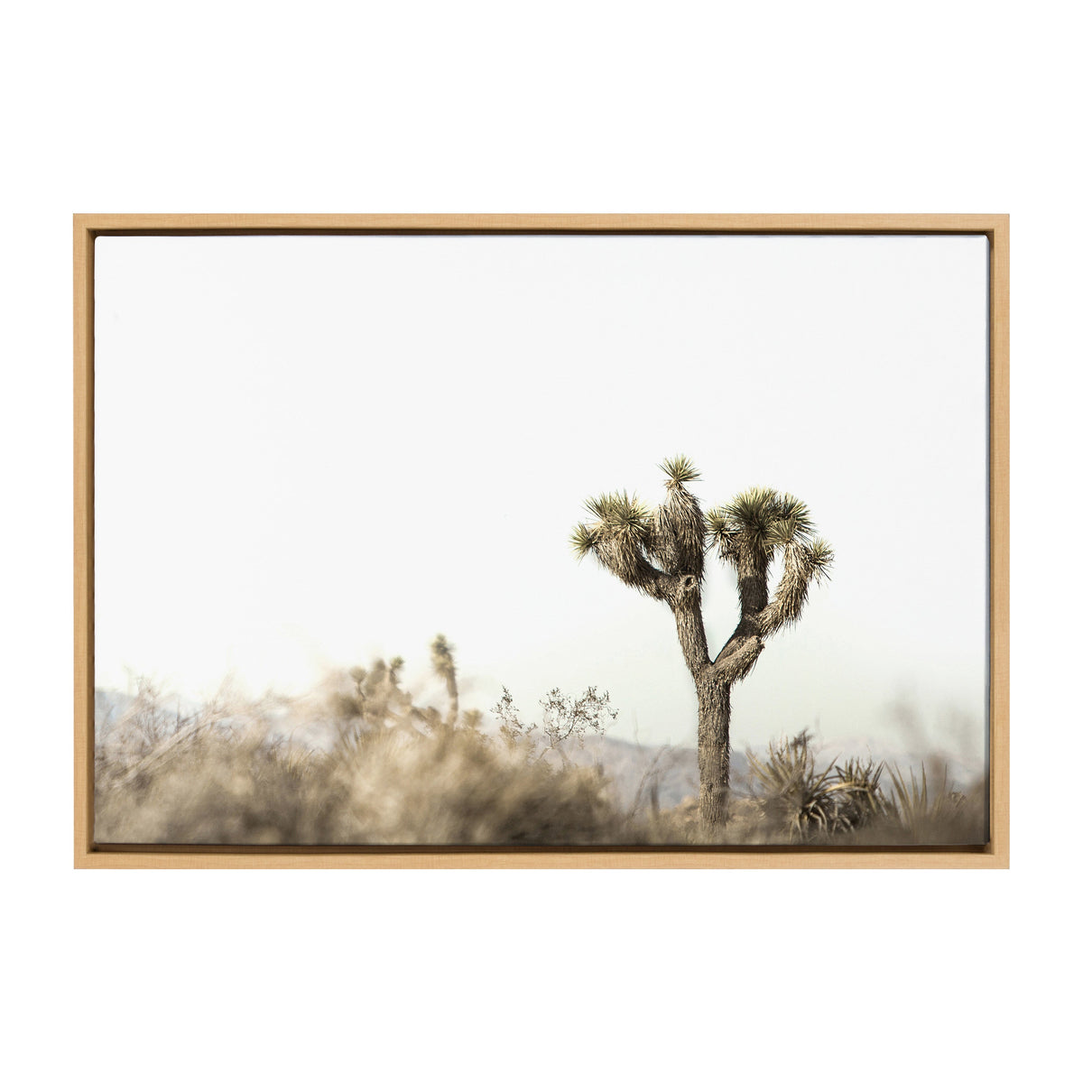 Sylvie Joshua Tree Landscape Framed Canvas by Saint and Sailor Studios