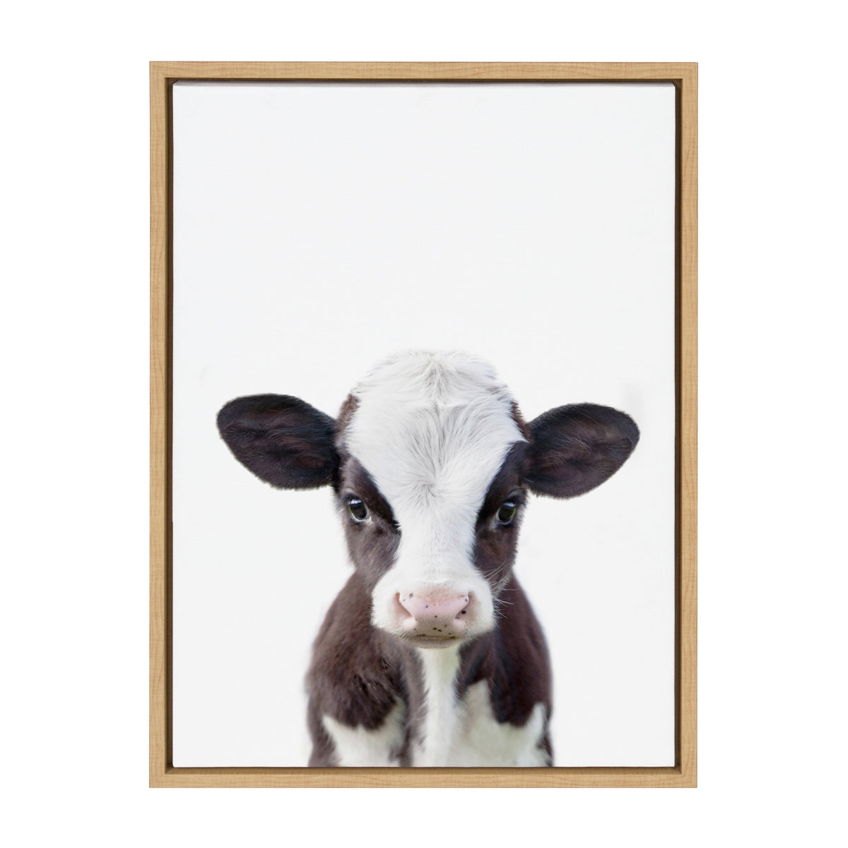Sylvie Baby Cow Portrait Framed Canvas by Amy Peterson