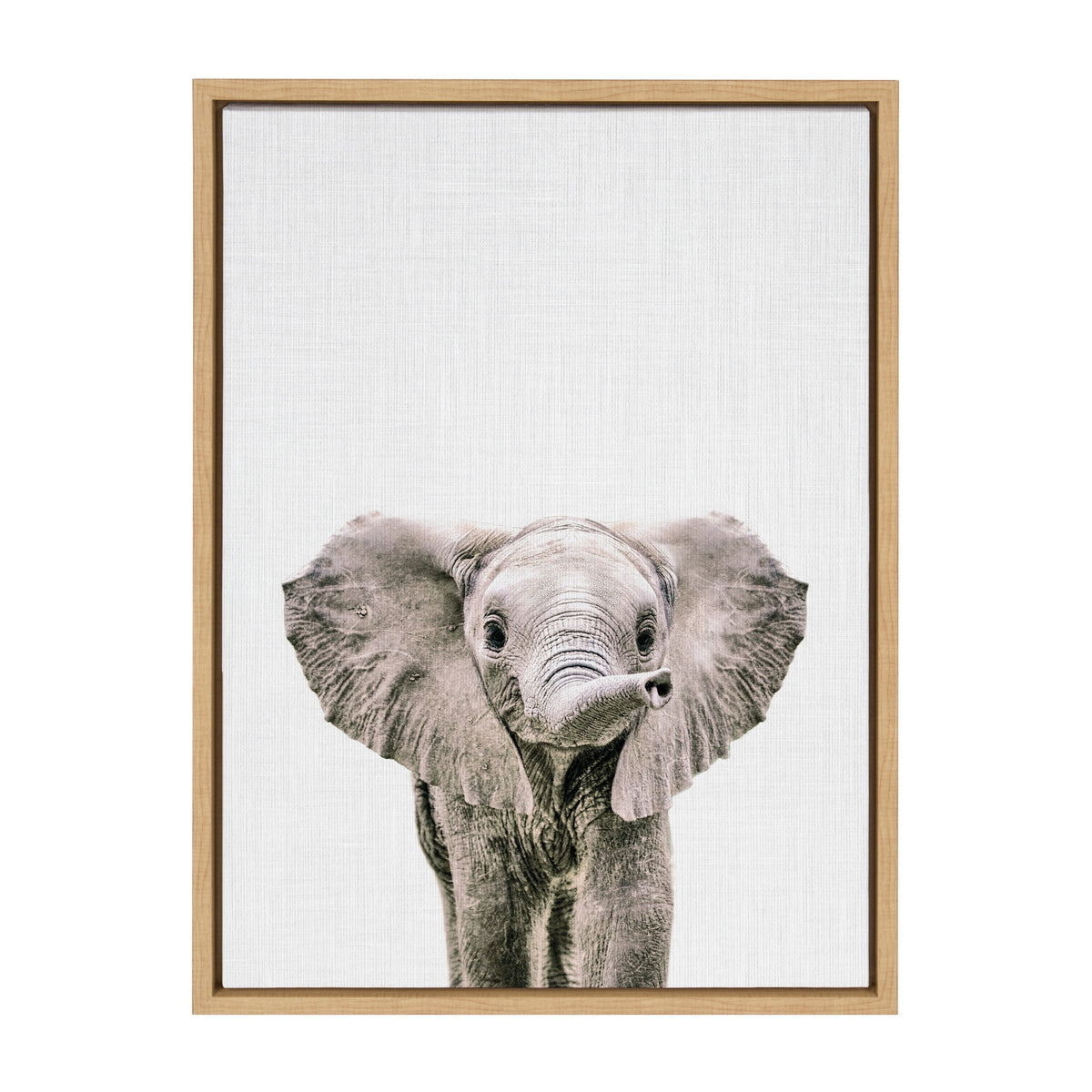 Sylvie Baby Elephant Color Framed Canvas by Simon Te of Tai Prints