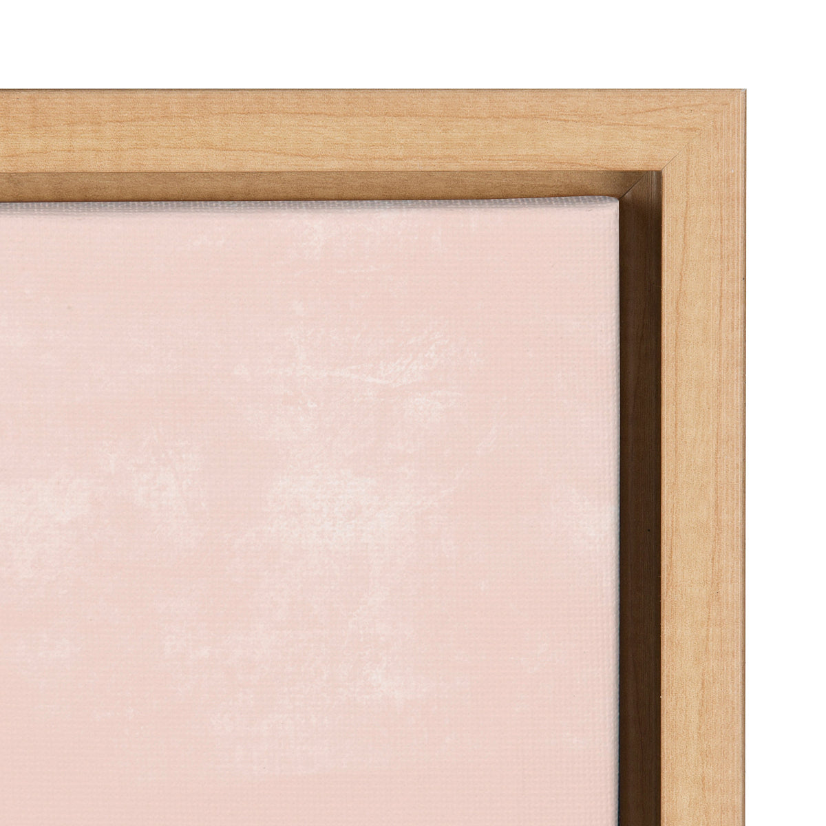 Sylvie Endless Summer Framed Canvas by Kate Aurelia Holloway