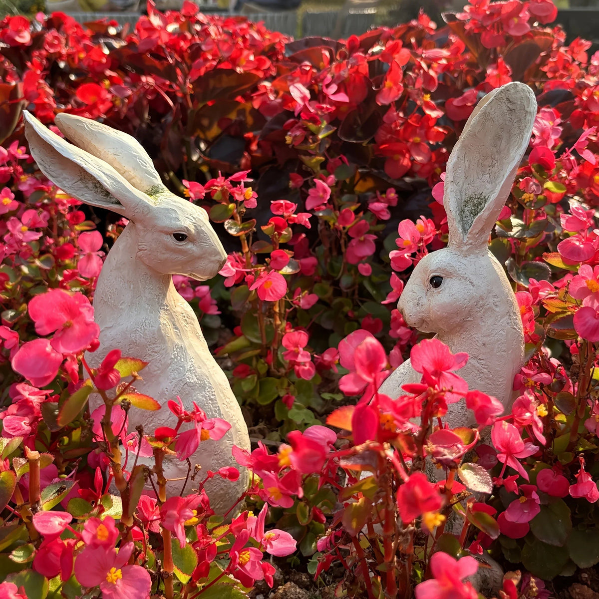 Set of 2 American-Style Long-Eared Rabbits