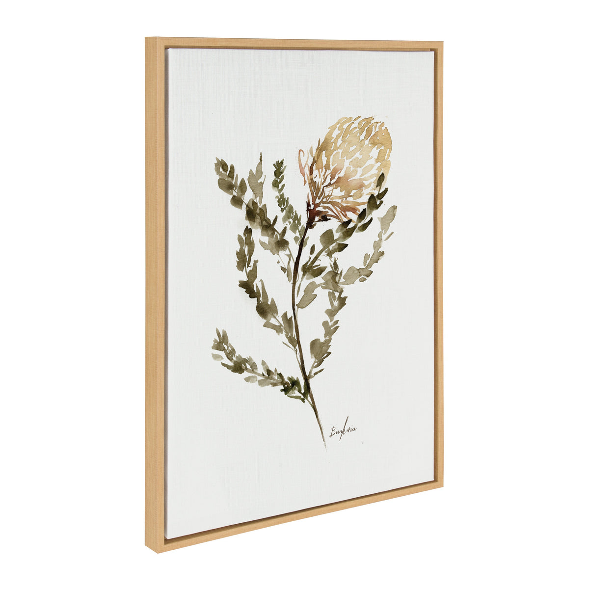 Sylvie Wild Banksia Framed Canvas by Sara Berrenson