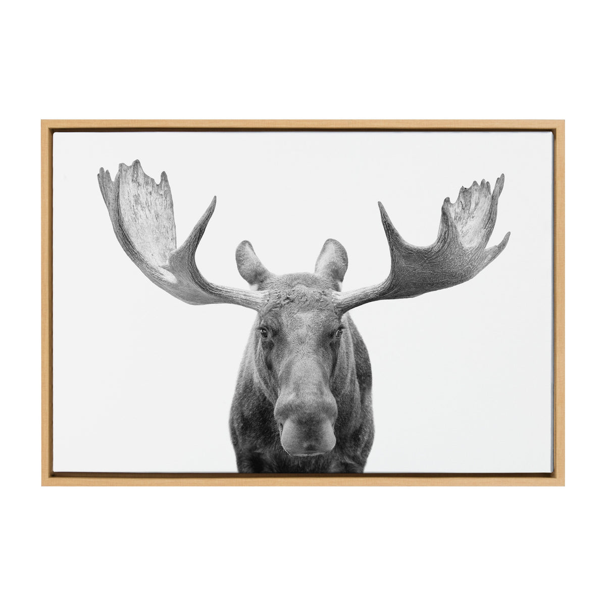 Sylvie Moose Black and White Framed Canvas by Amy Peterson Art Studio