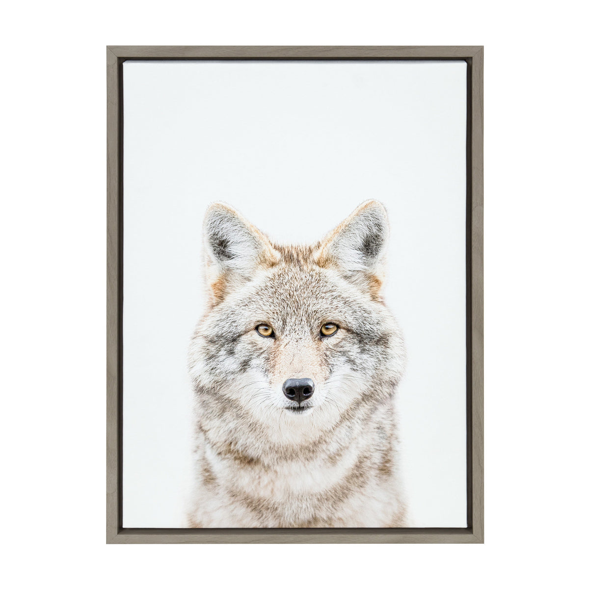 Sylvie Wolf Portrait Framed Canvas by Amy Peterson Art Studio