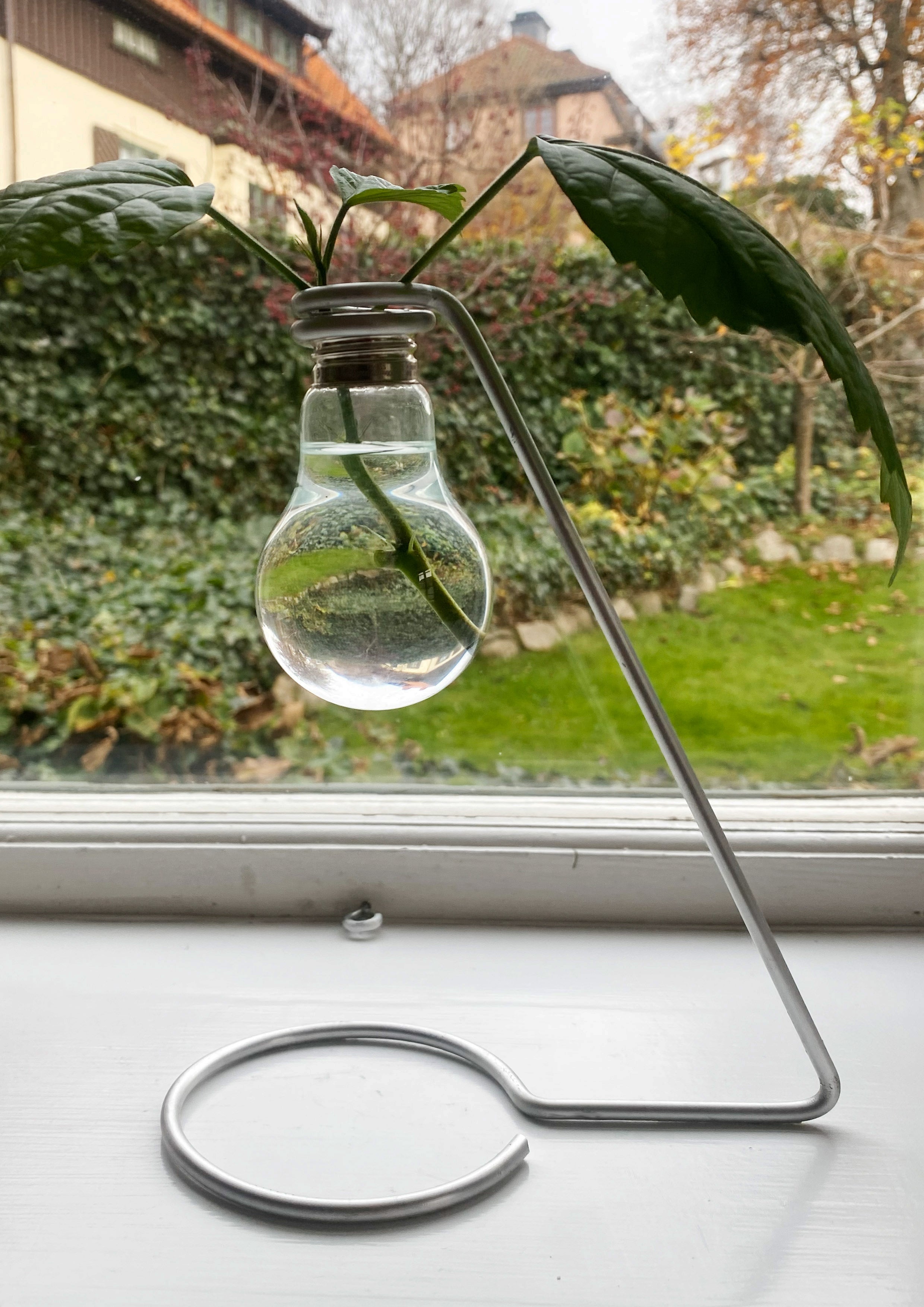 Testikel Plant Propagator
