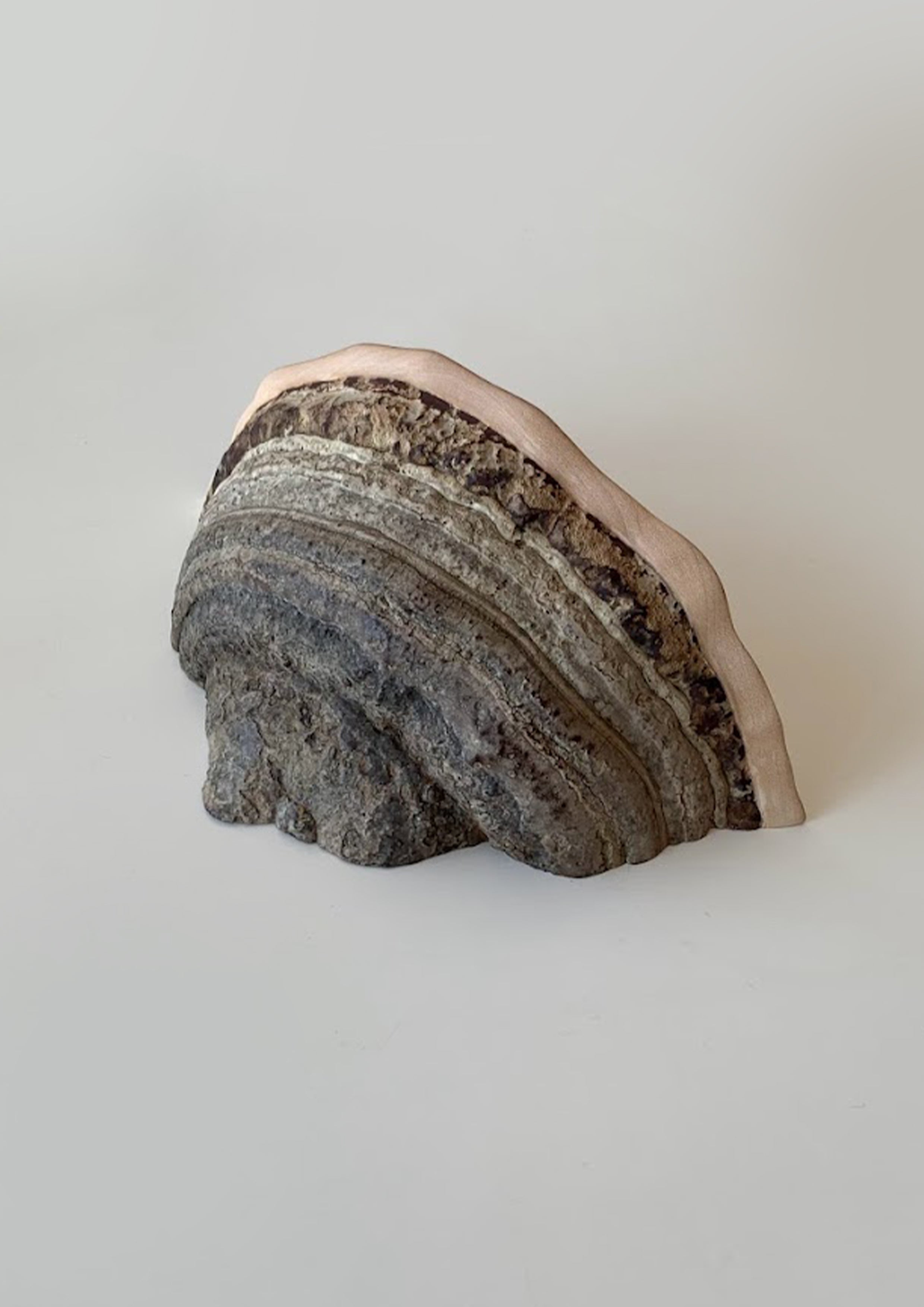 Ticka Fungi Wall Shelf