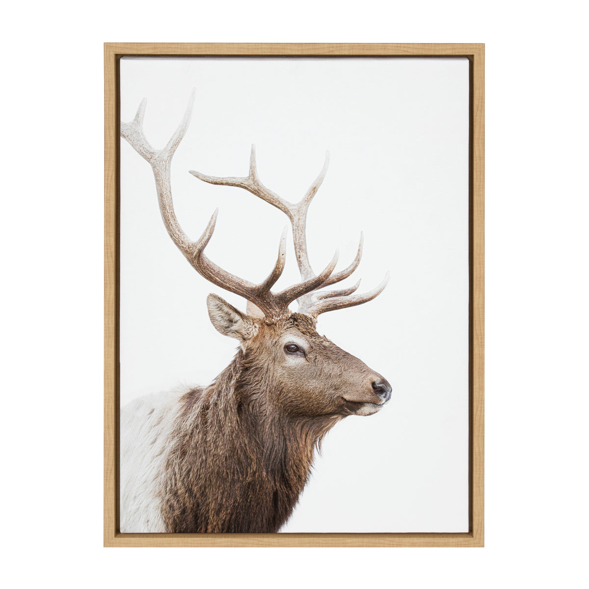 Sylvie Stag Profile Framed Canvas by Amy Peterson Art Studio