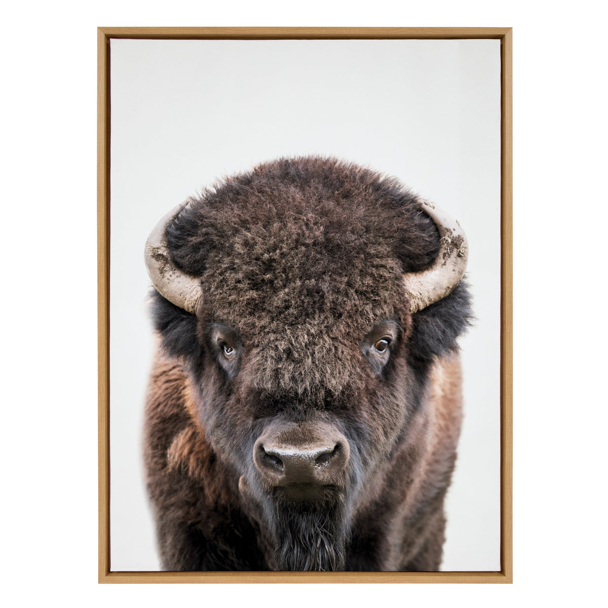 Sylvie Bison Portrait Framed Canvas by Amy Peterson Art Studio