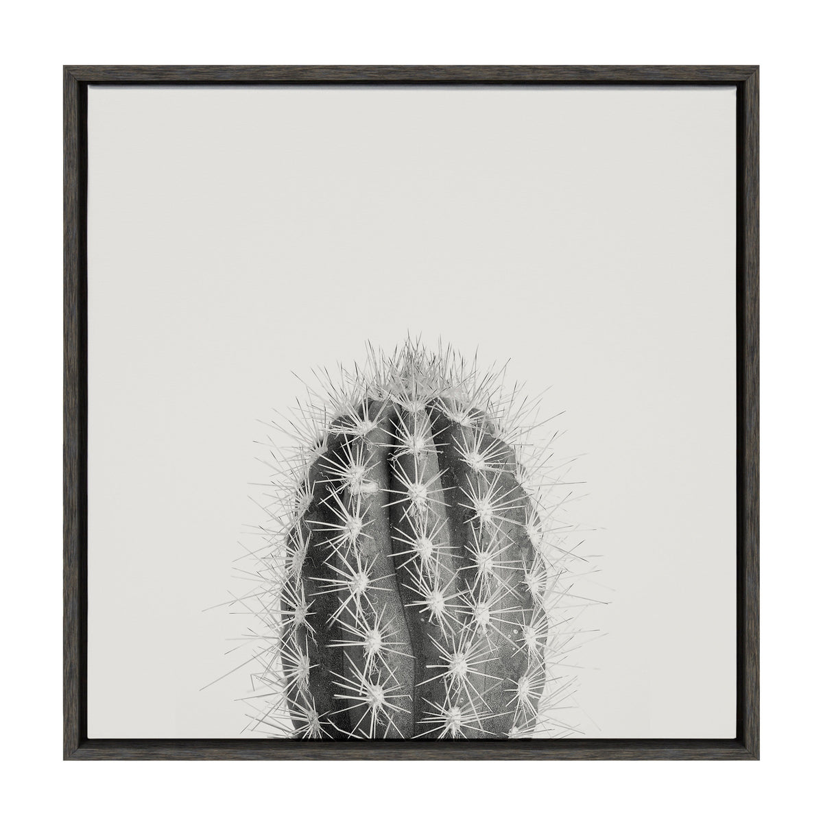 Sylvie Haze Cactus Succulent Tall Framed Canvas by The Creative Bunch Studio