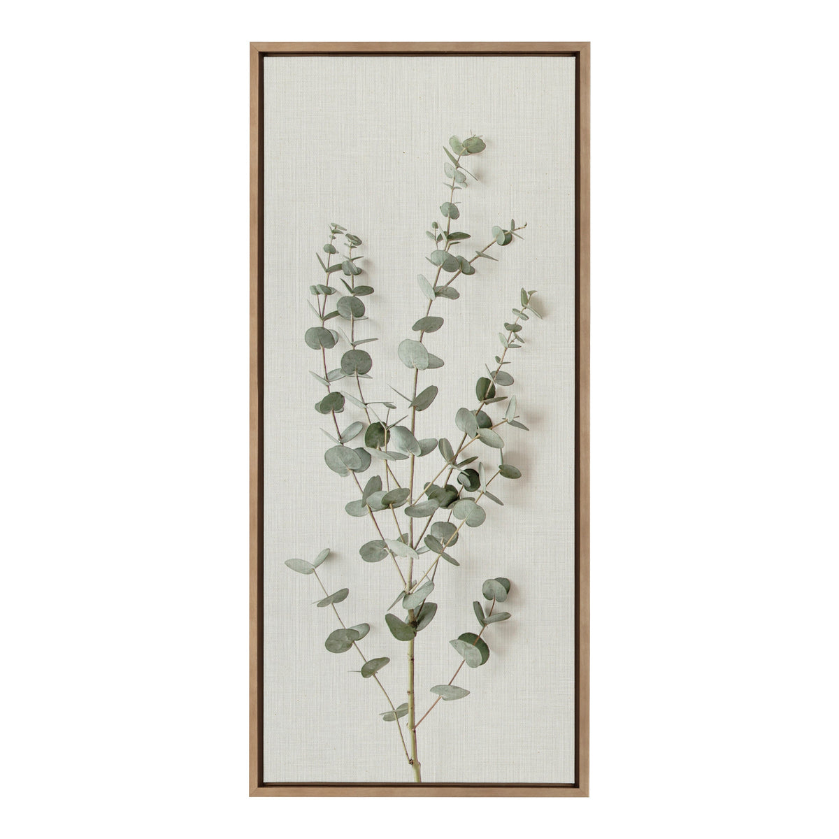 Sylvie Eucalyptus Botanical I Framed Canvas by The Creative Bunch Studio