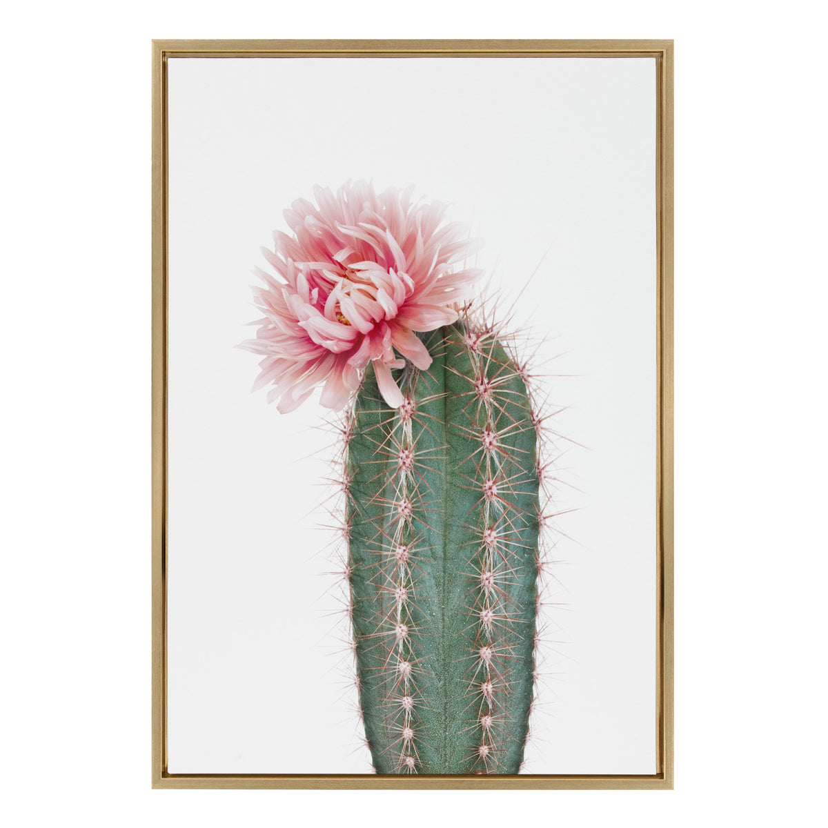 Sylvie Pink Cactus Flower Framed Canvas by Amy Peterson Art Studio